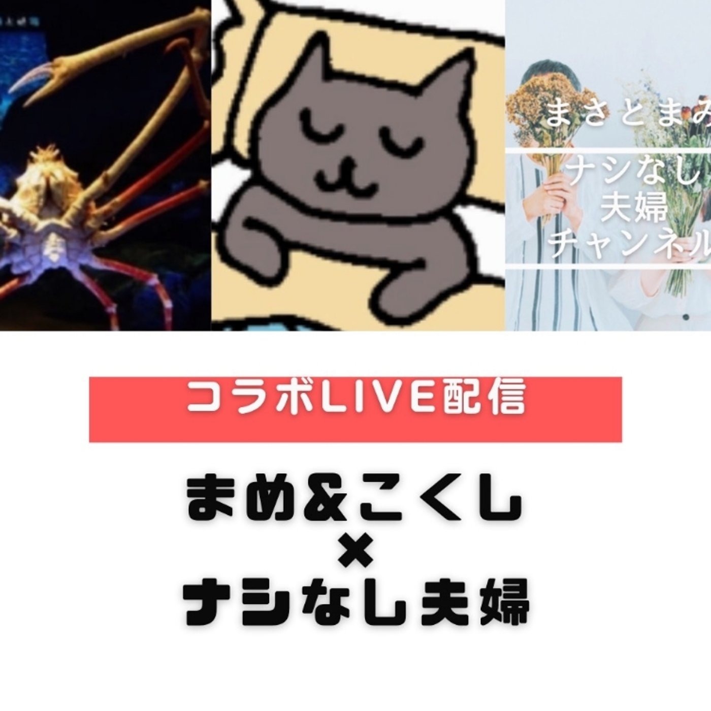 まめ&こくしさん×ナシなし夫婦チャンネル ～コラボライブ～ [ライブ配信週間] episode artwork
