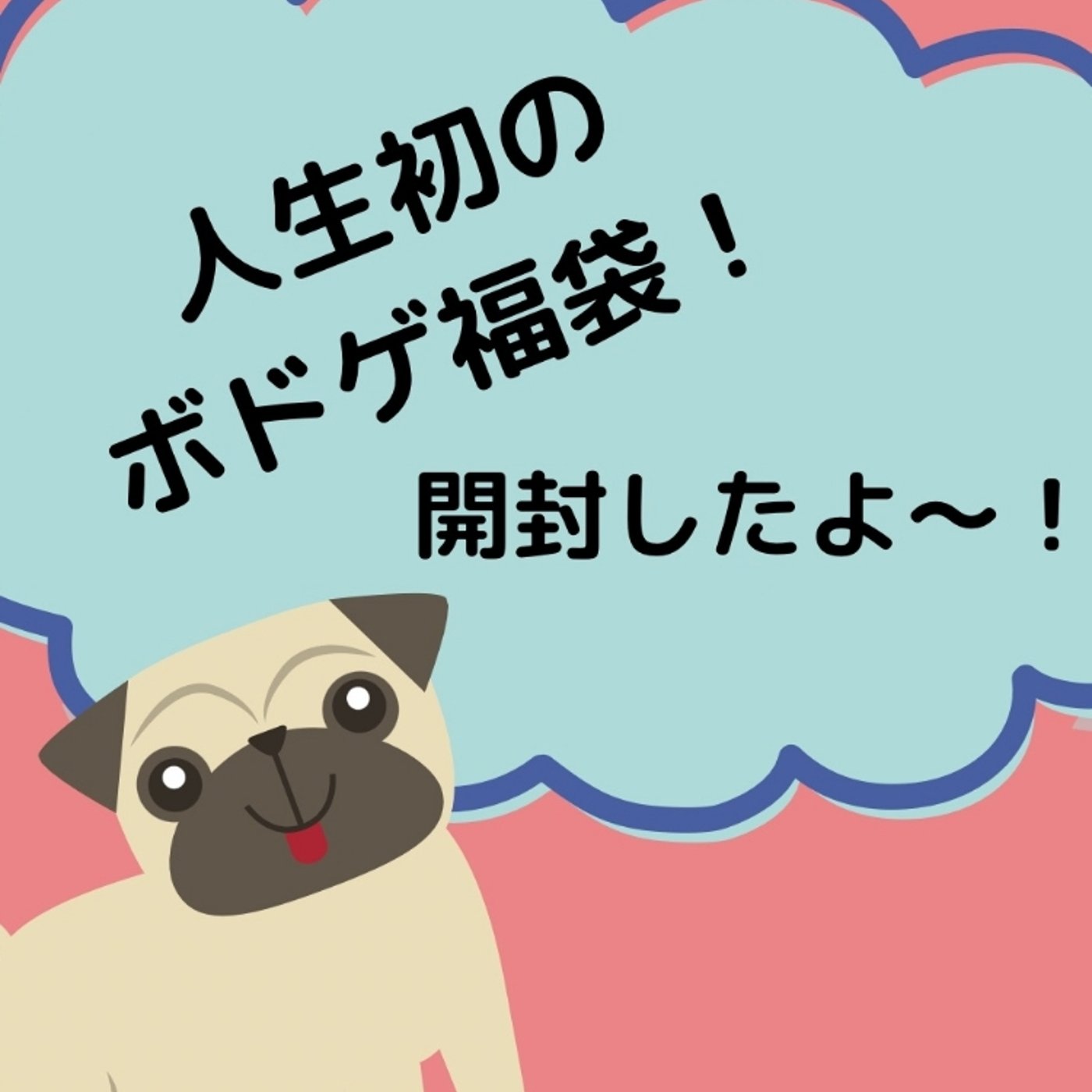 【人生初？】福袋開封したよー！！！ episode artwork