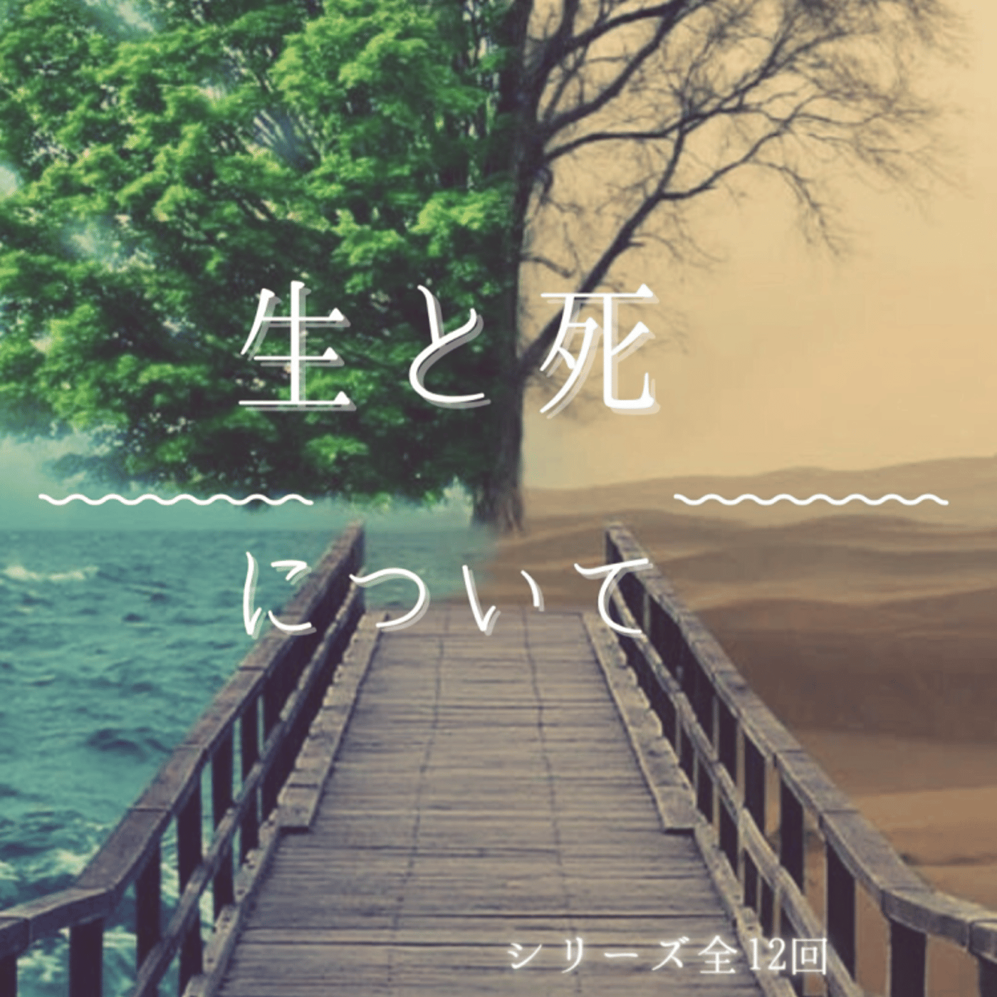  わん年にゃー組チャンネル✖️ナシなし夫婦チャンネル　コラボLIVE　～生と死シリ episode artwork