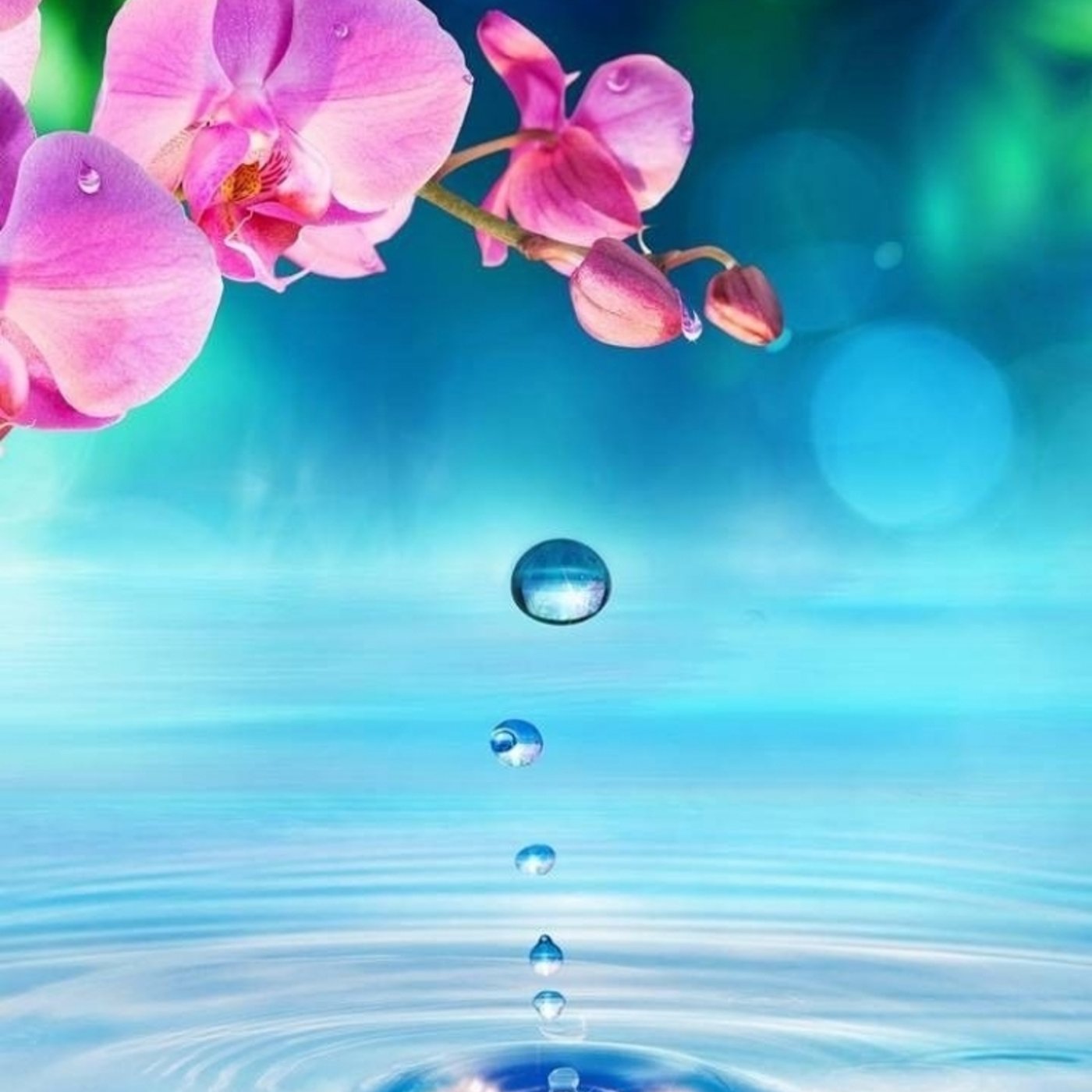 情報の取り入れ方