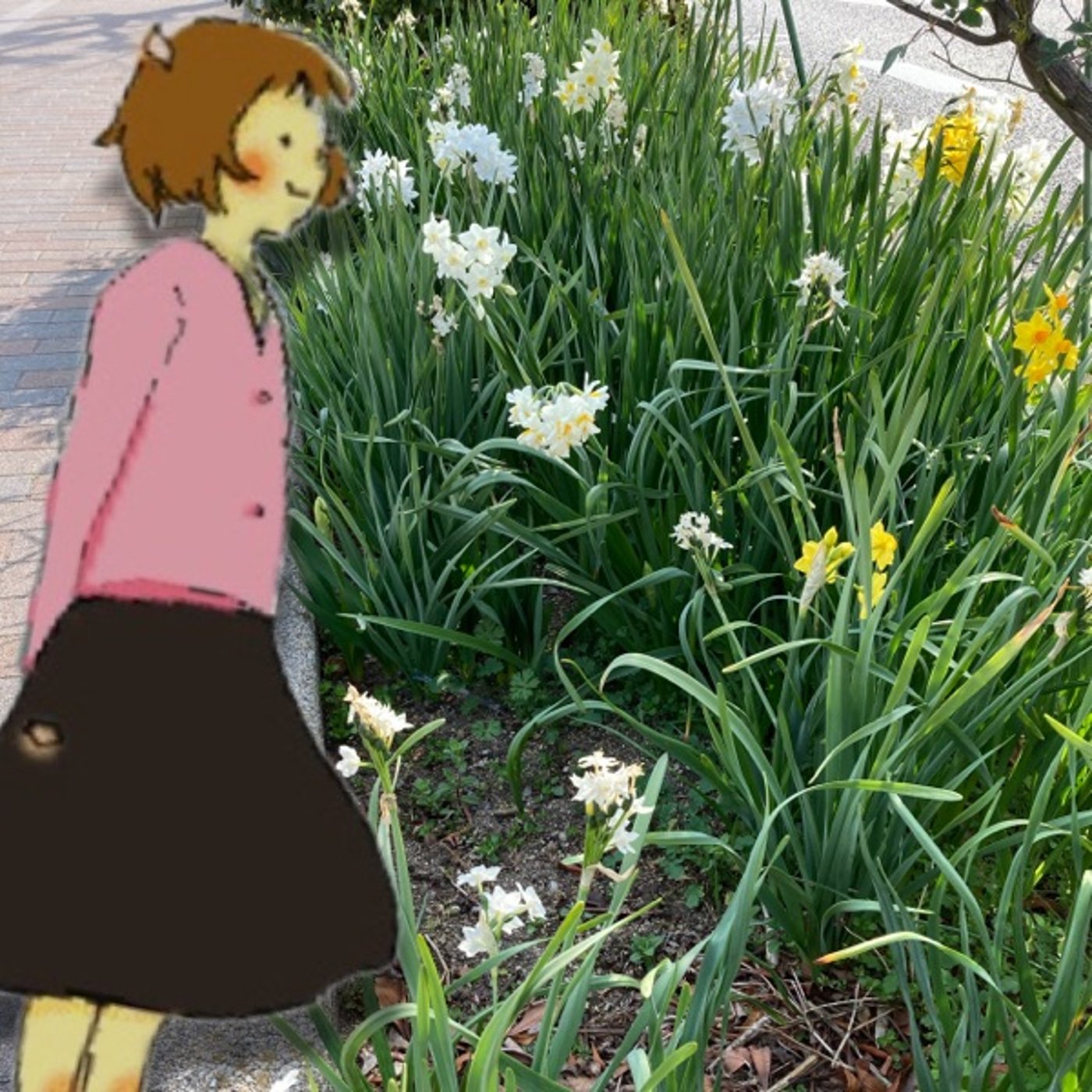 後悔の芽は摘んでおきたい episode artwork
