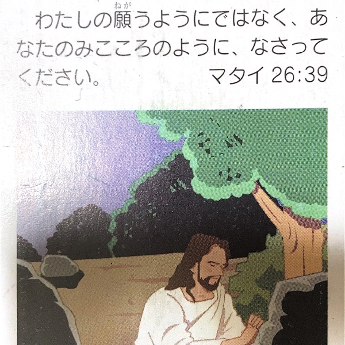 この杯を過ぎ去らせてください　マタイ26 episode artwork