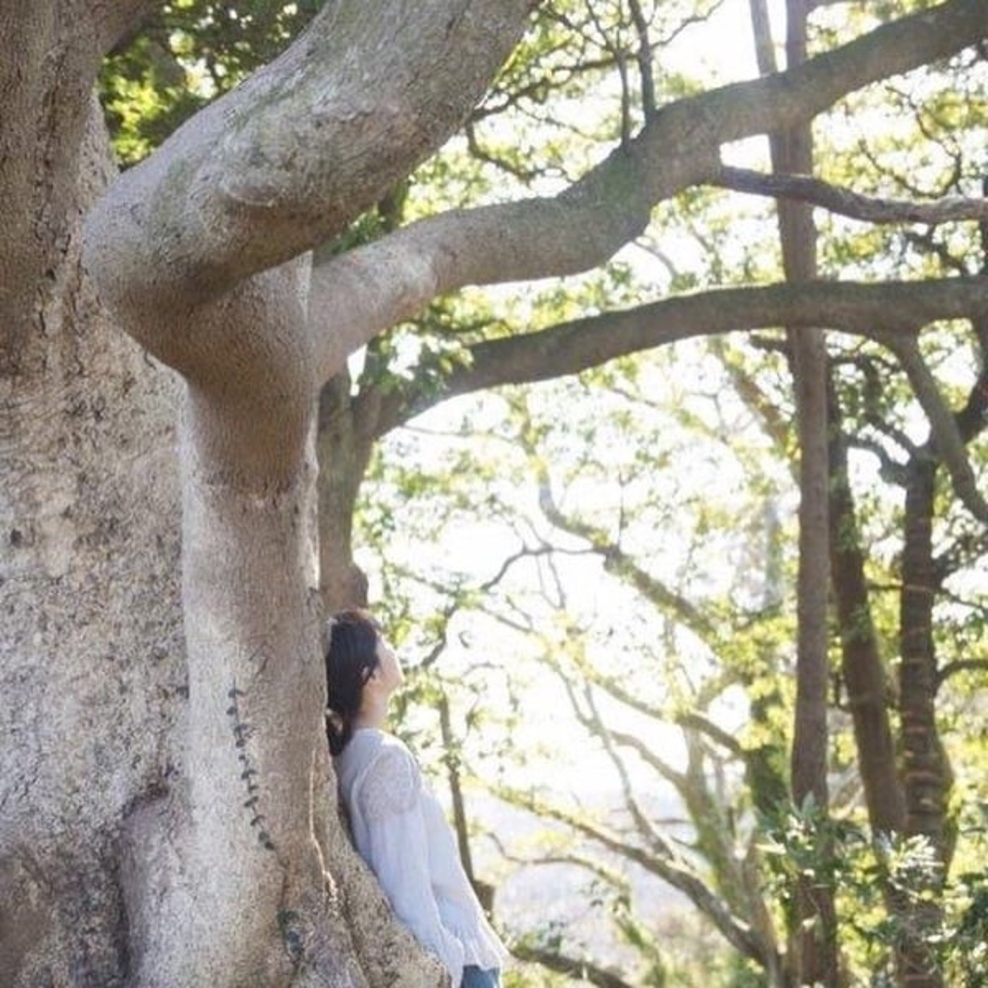 葉山niji🌈tomomi channel♡