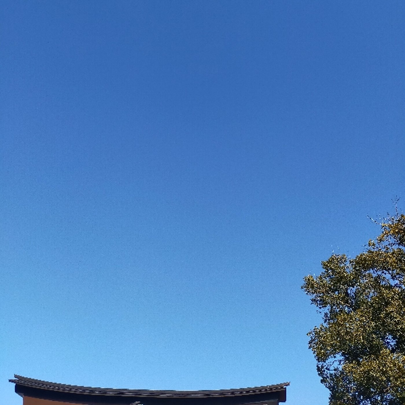 あなたの役割、カラー、特色は何でしょうか？