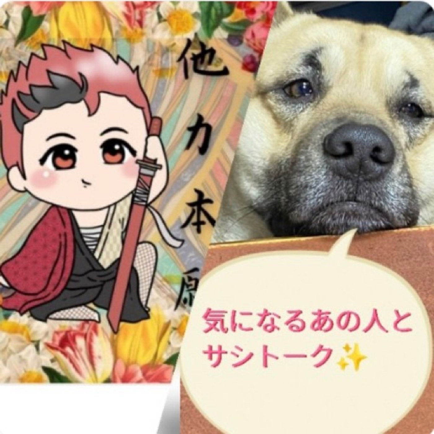 コラボ収録🙈🙈 episode artwork
