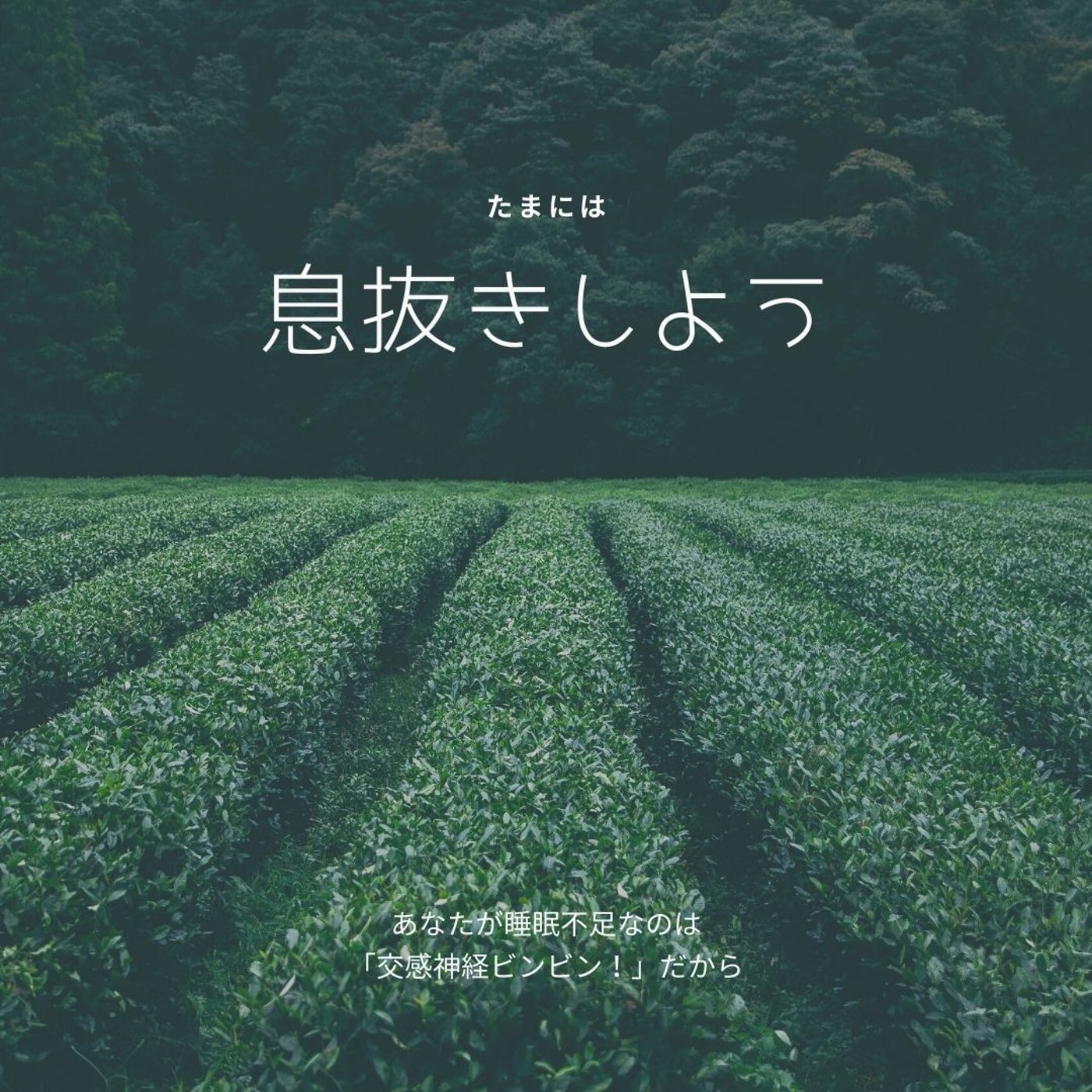 あなたが睡眠不足なのは「交感神経ビンビン！」だから episode artwork