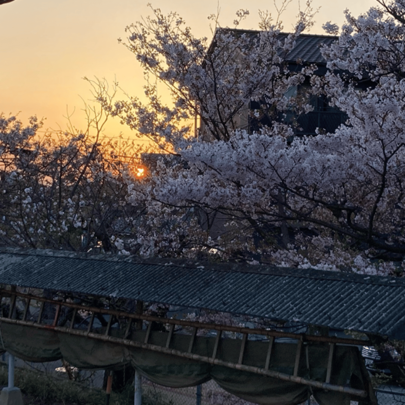 イエスの復活　マタイ28 episode artwork