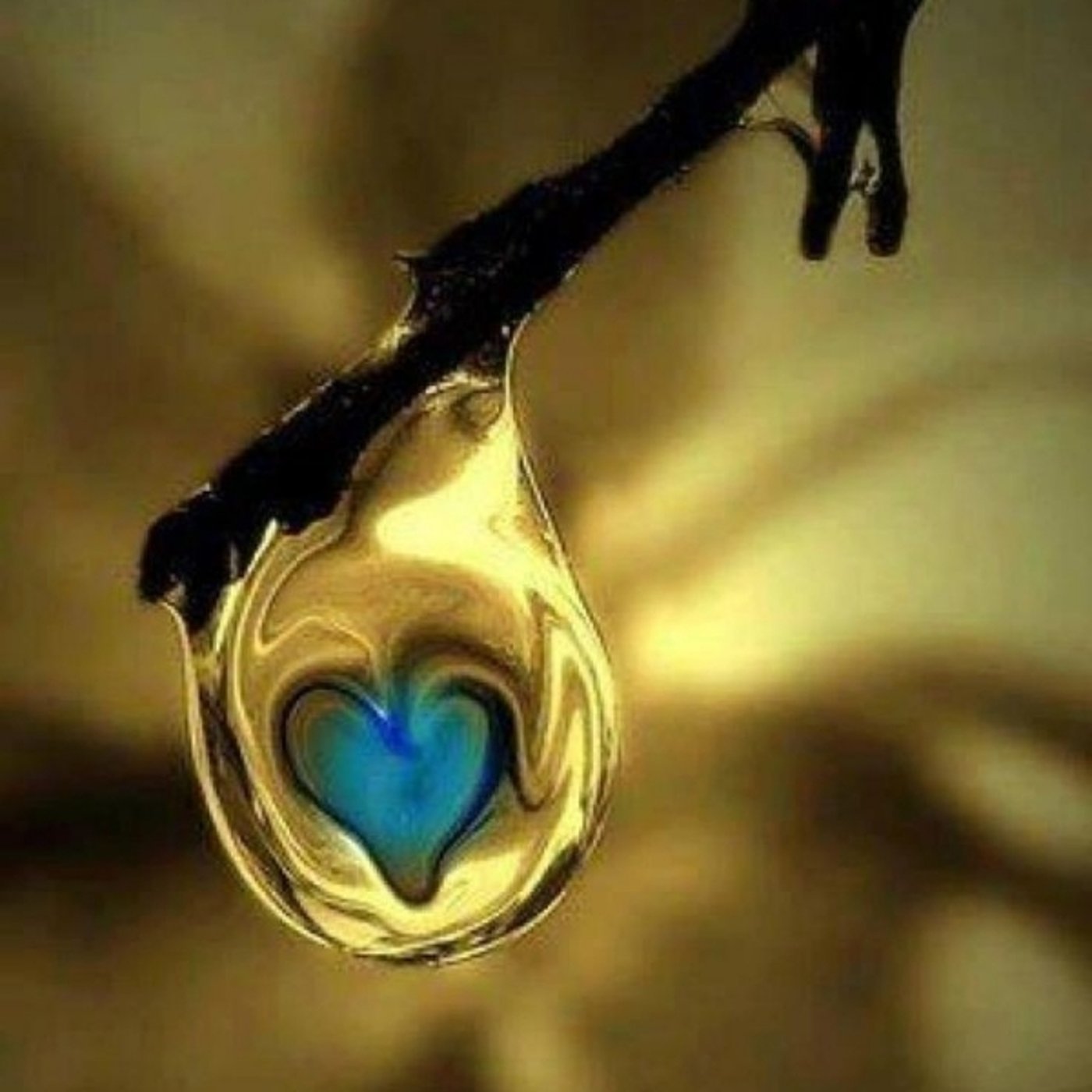 ゲートはどこにあるの？