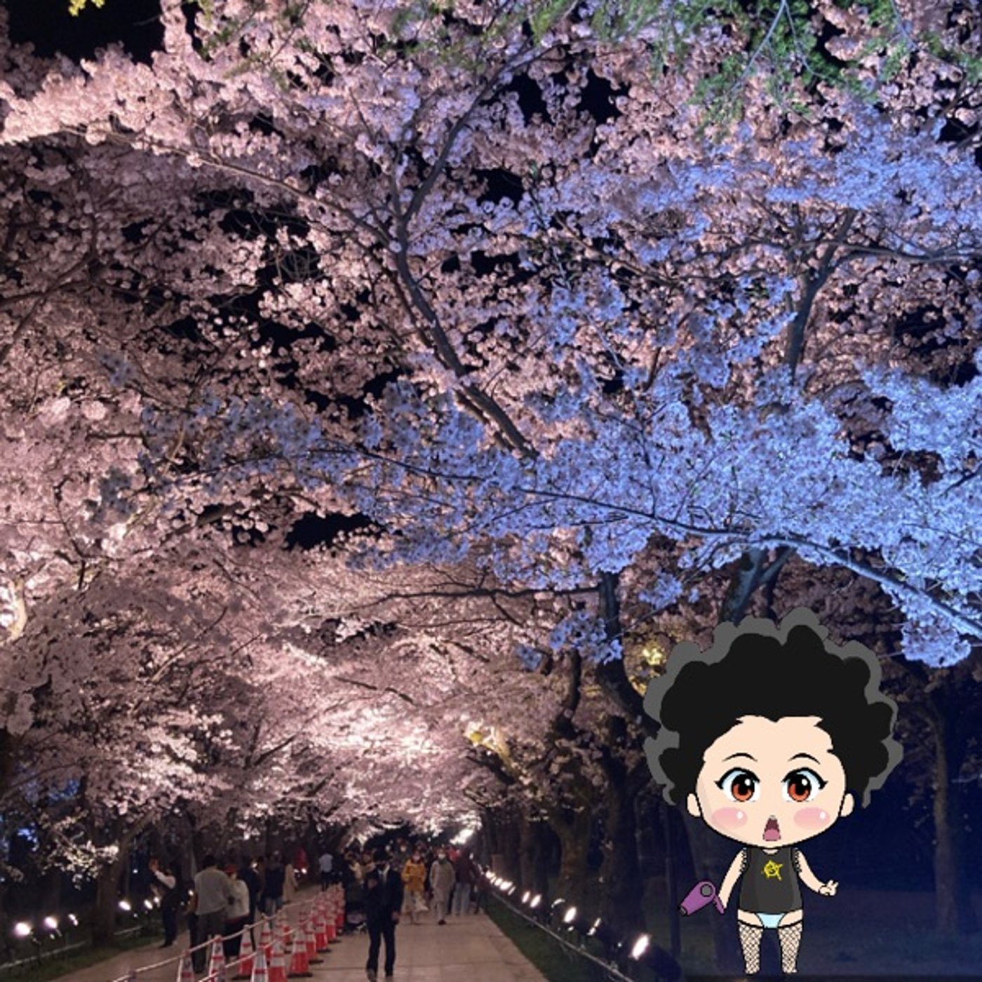 日本三大夜桜🌸 episode artwork