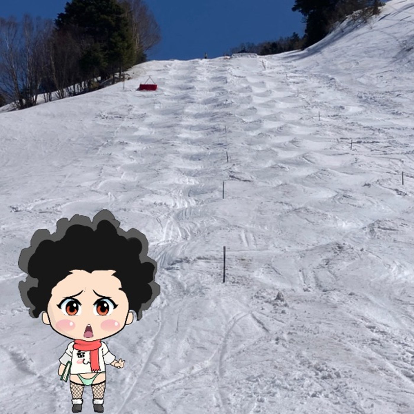 来シーズンはなんと‼️⛷ episode artwork