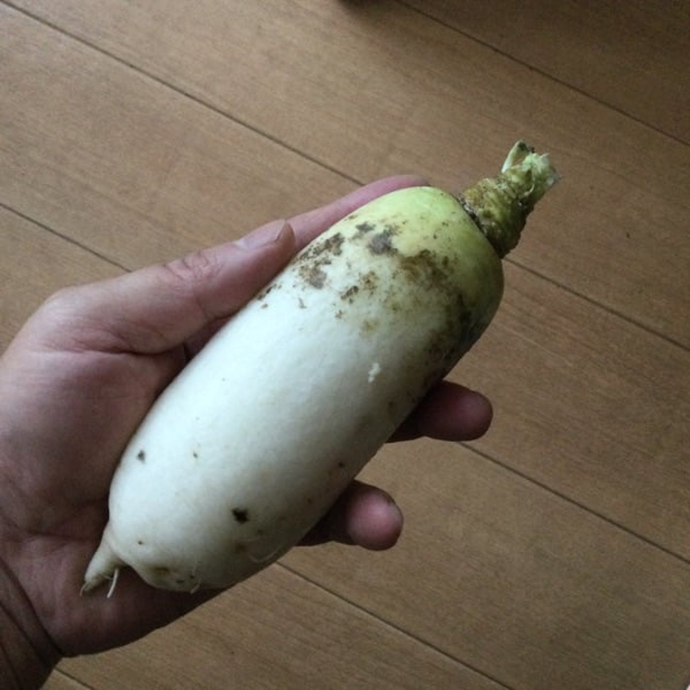 じいじの日常　仮