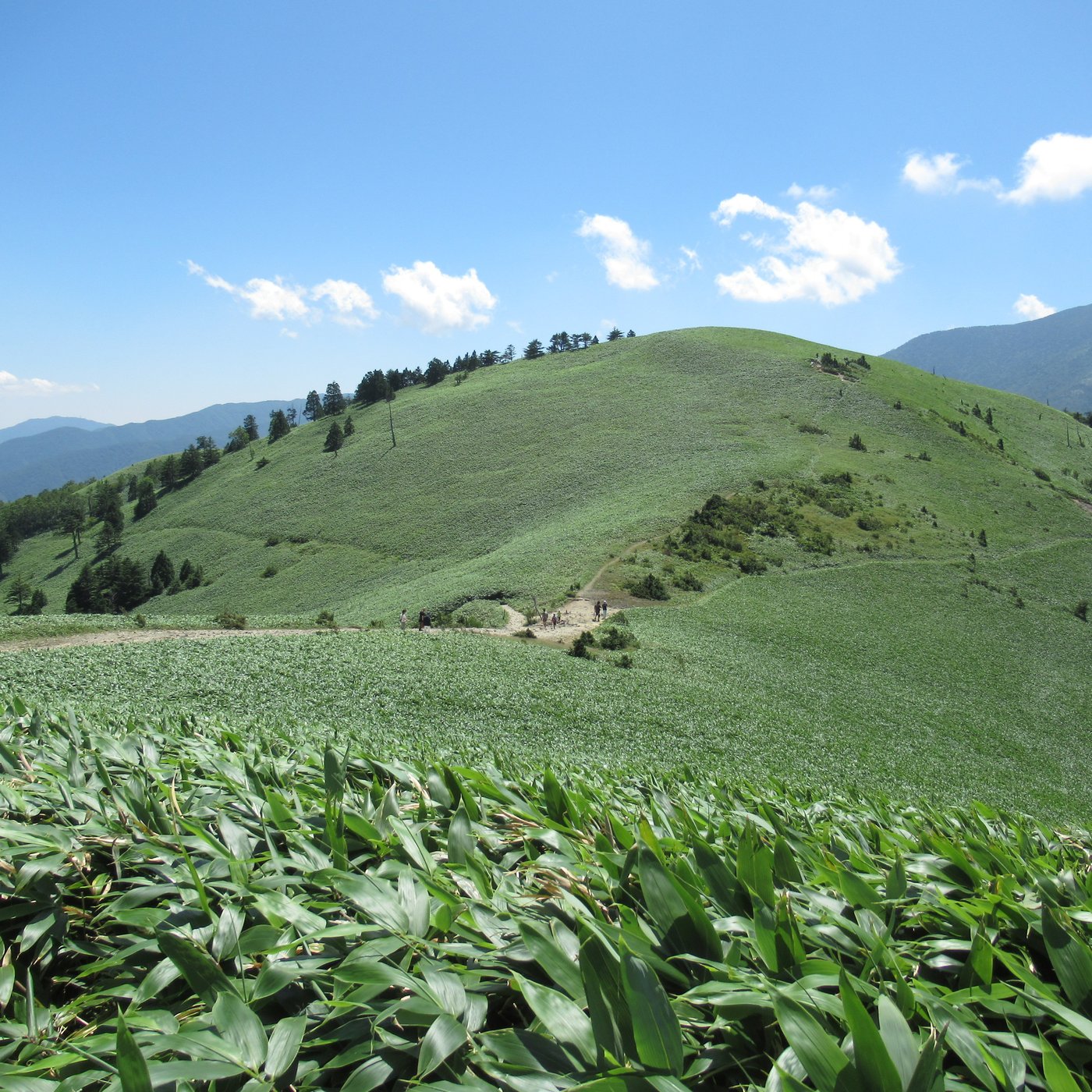 タータリアとは？ episode artwork