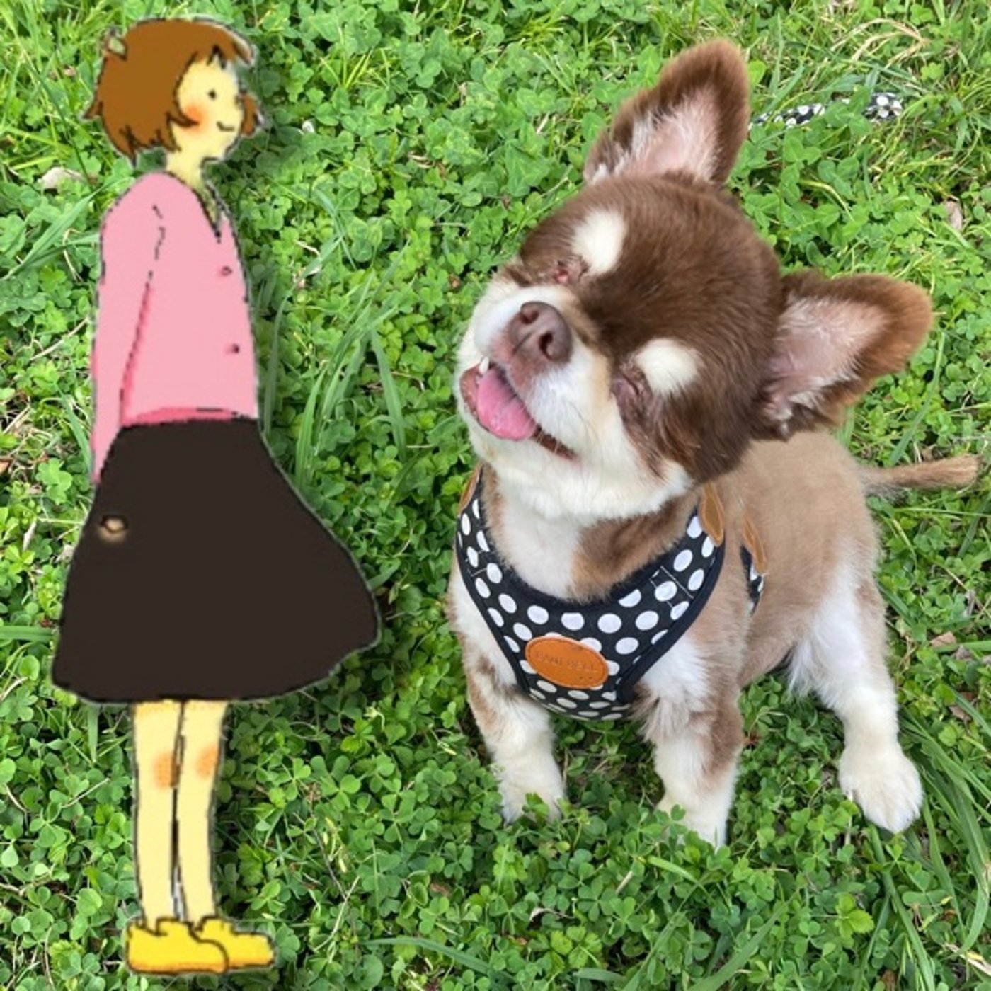 #111 愛犬からのメッセージ episode artwork