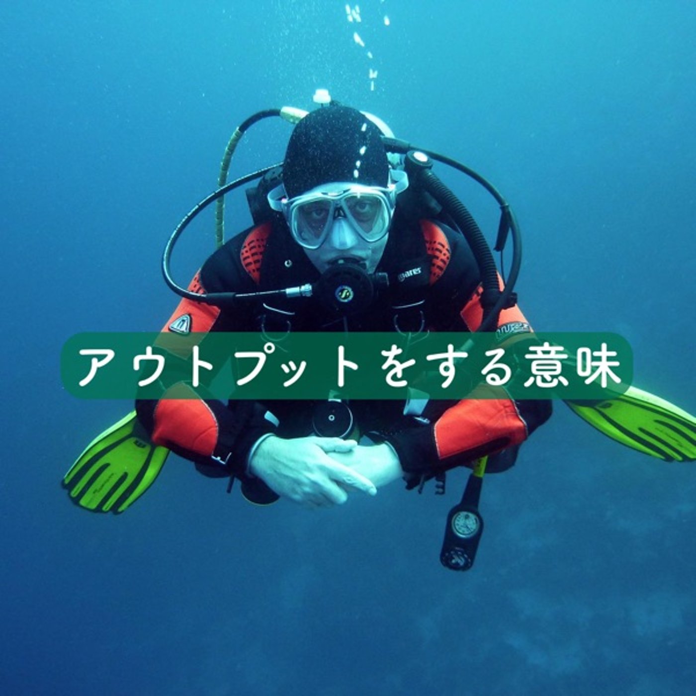 アウトプットをする意味 episode artwork