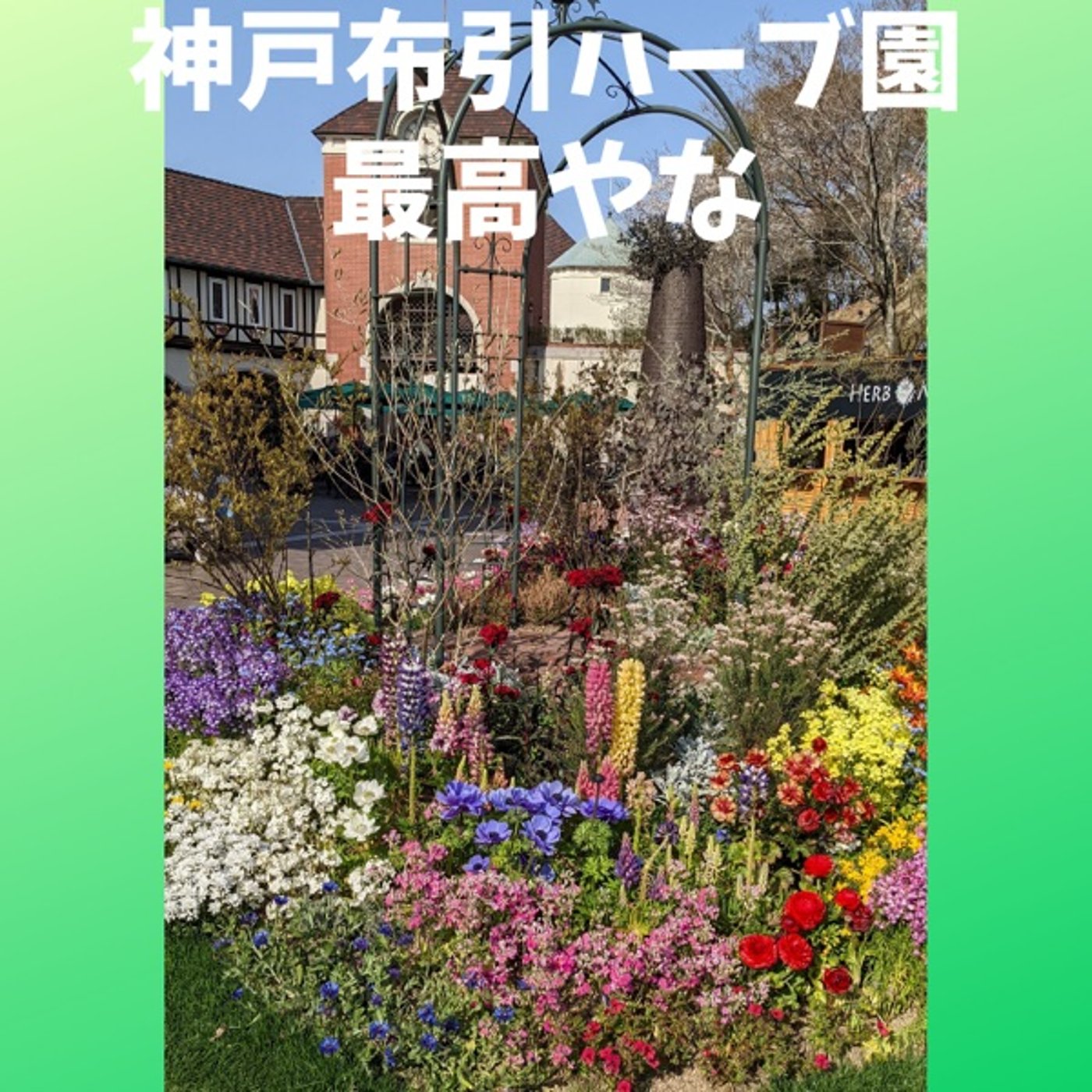 #152 花のテーマパーク、神戸布引ハーブ園が素敵すぎた episode artwork