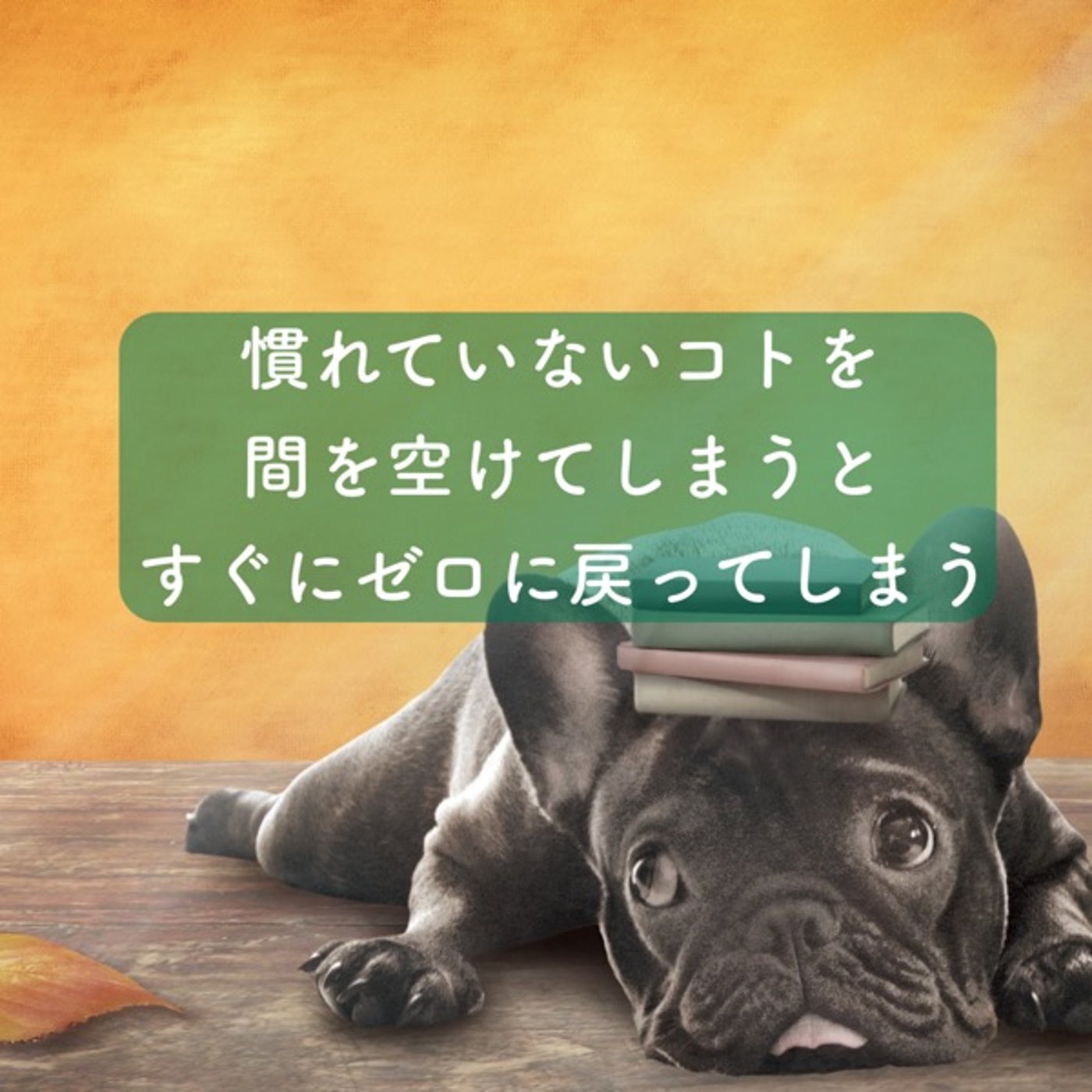 慣れていないコトを間を空けてしまうとすぐにゼロに戻ってしまう episode artwork