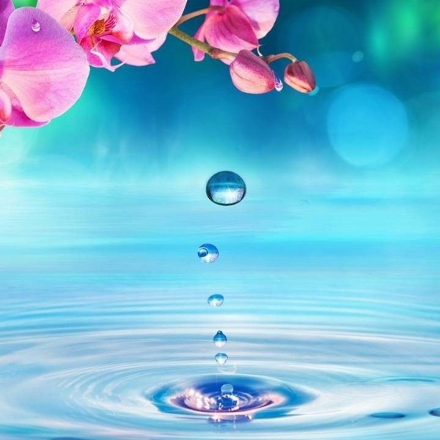 レインドロップの癒し