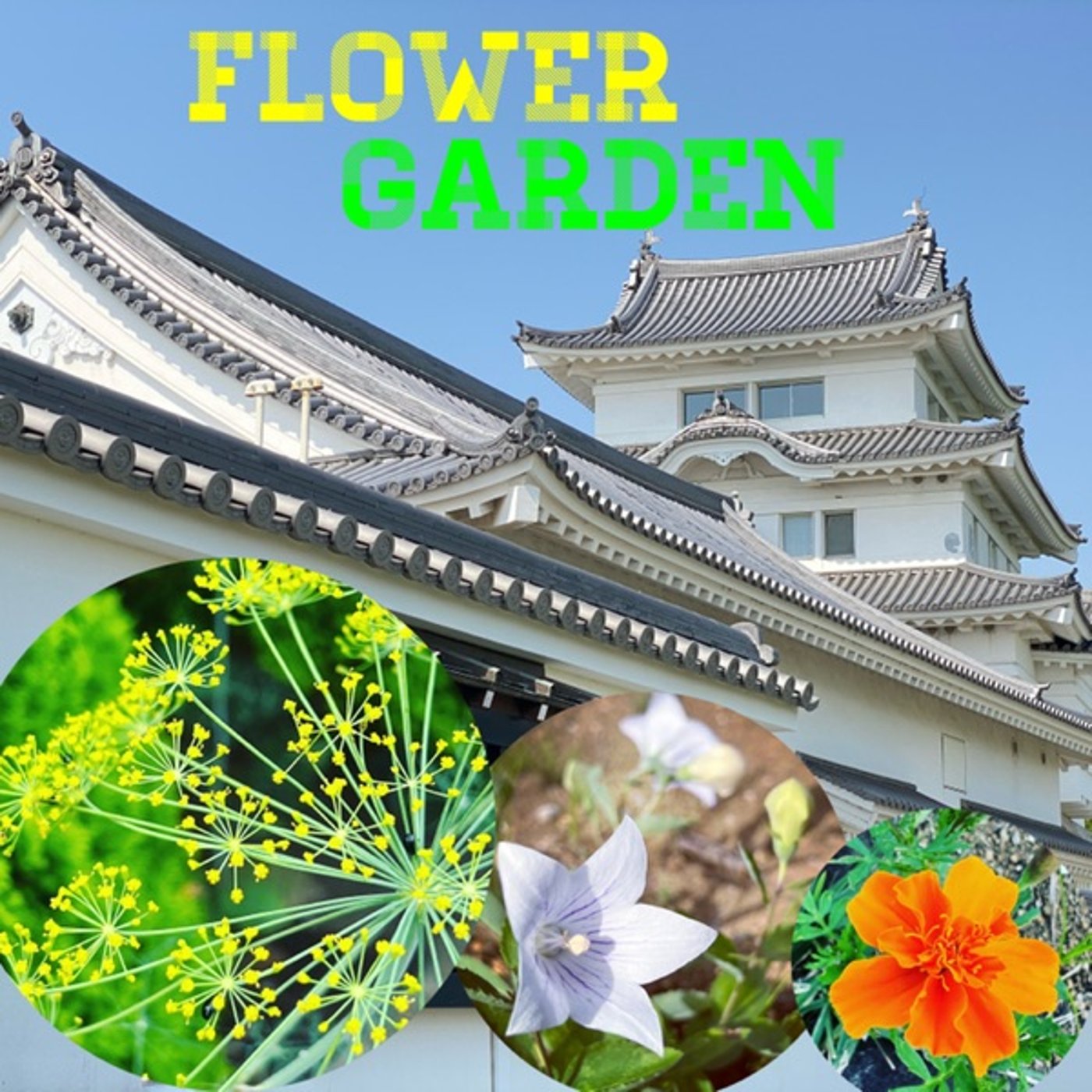 【庭畑通信】ハーブ🌿も芝も😂花盛り🌸 episode artwork