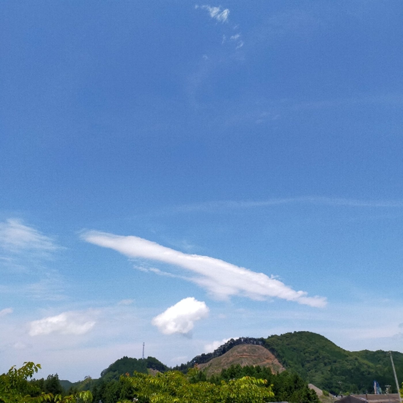 さいまきさん（スジャータさん）とのコラボライブ🌹楽しみ！Wi-Fi気にしないで😄