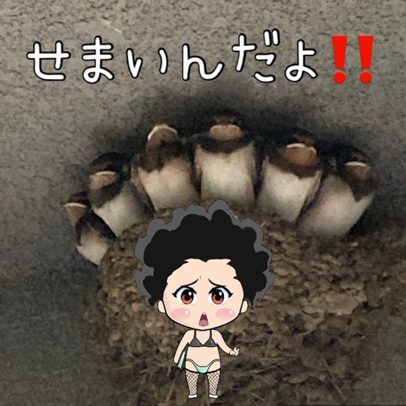 せまいんだよ‼️ episode artwork