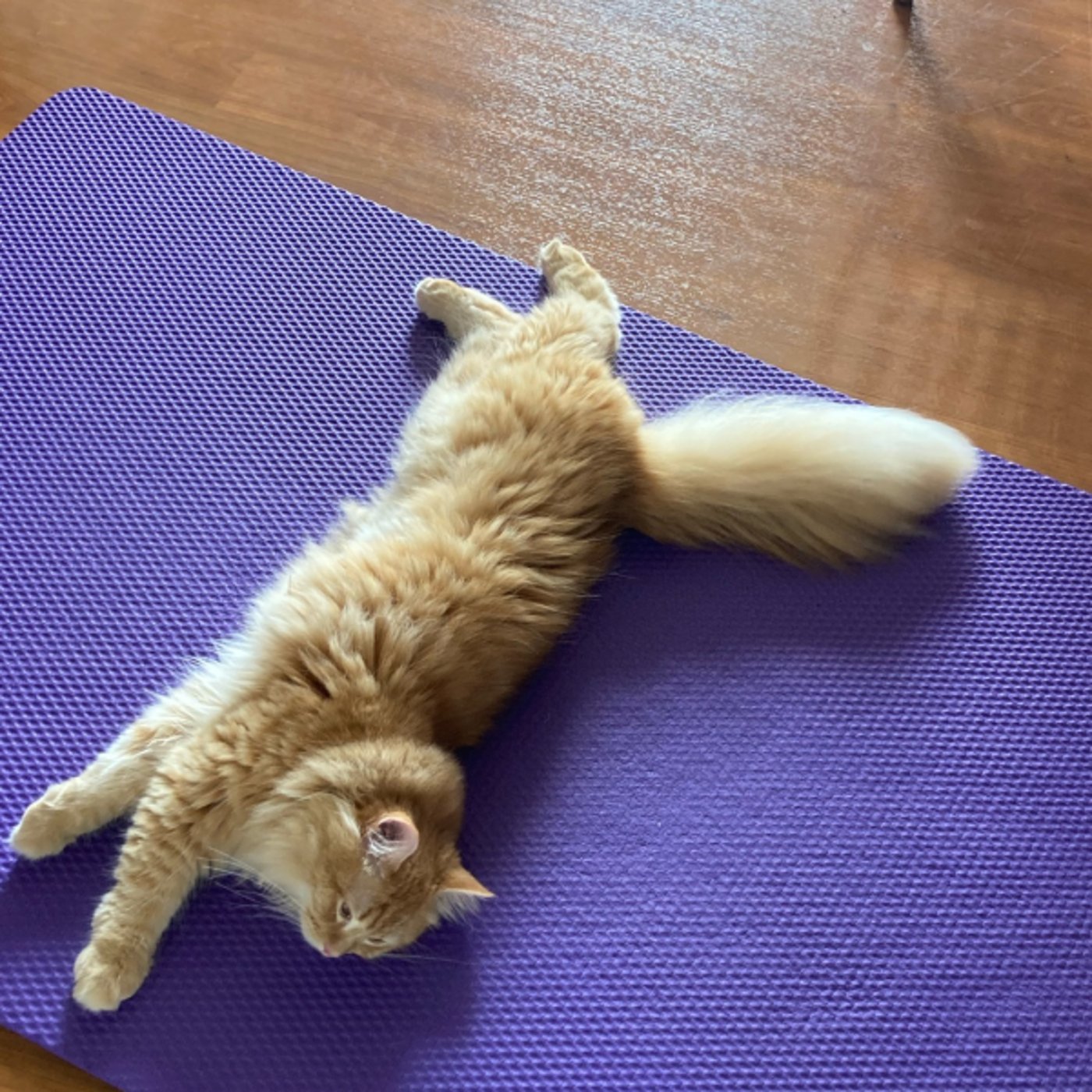 『質問コーナー』片づけコンサル・プロコーチ