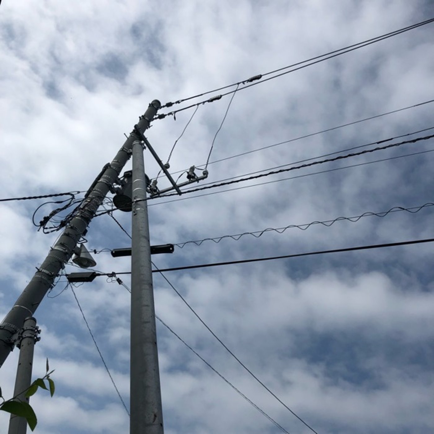 2022.7.7たなばた