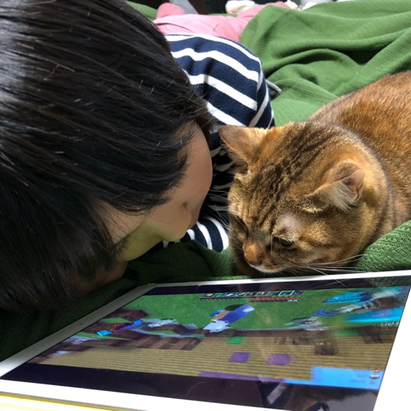 猫にいつもかける言葉は「ありがとう」【にゃらティブ特別回】 episode artwork