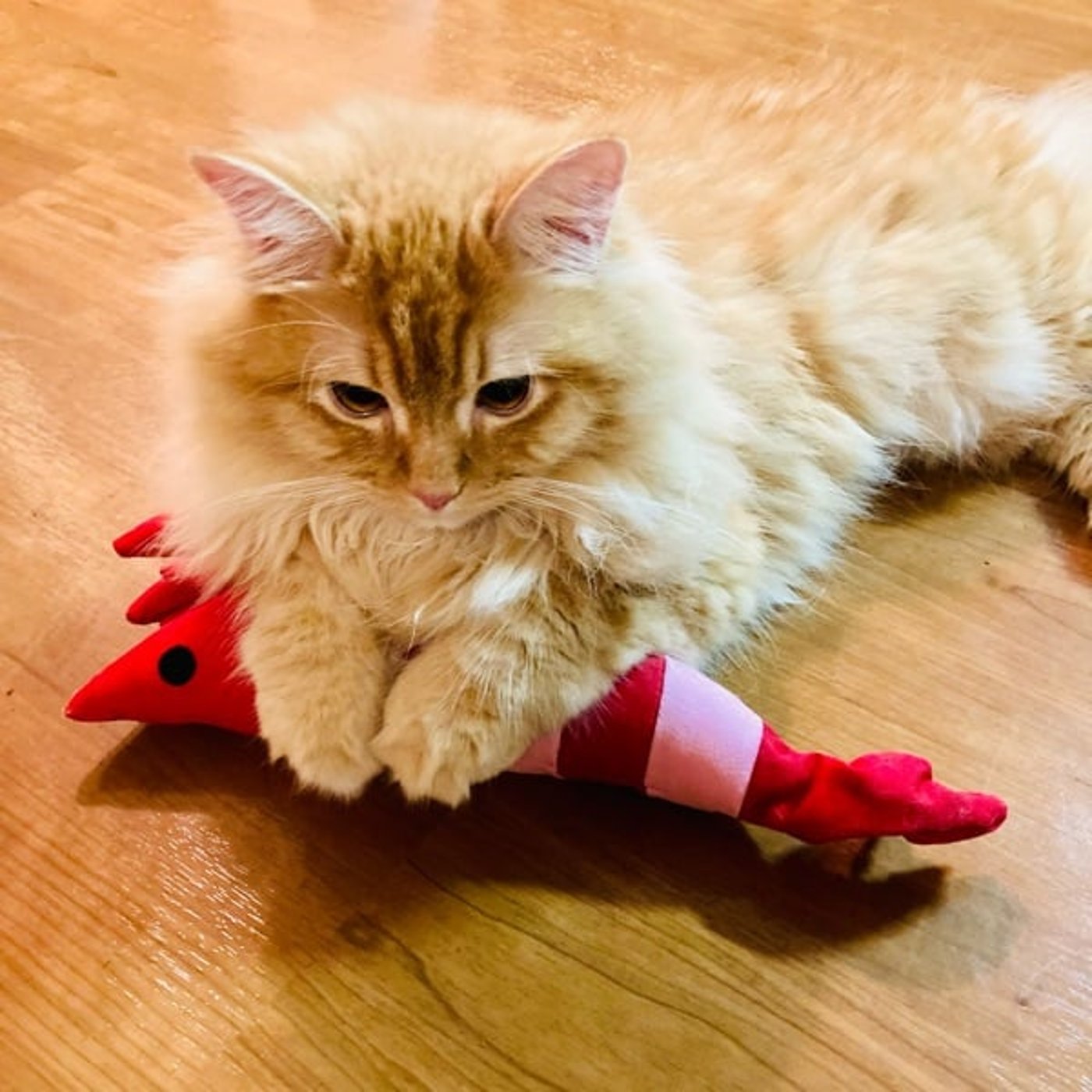 モノを大切にしたい人のための手放し方！