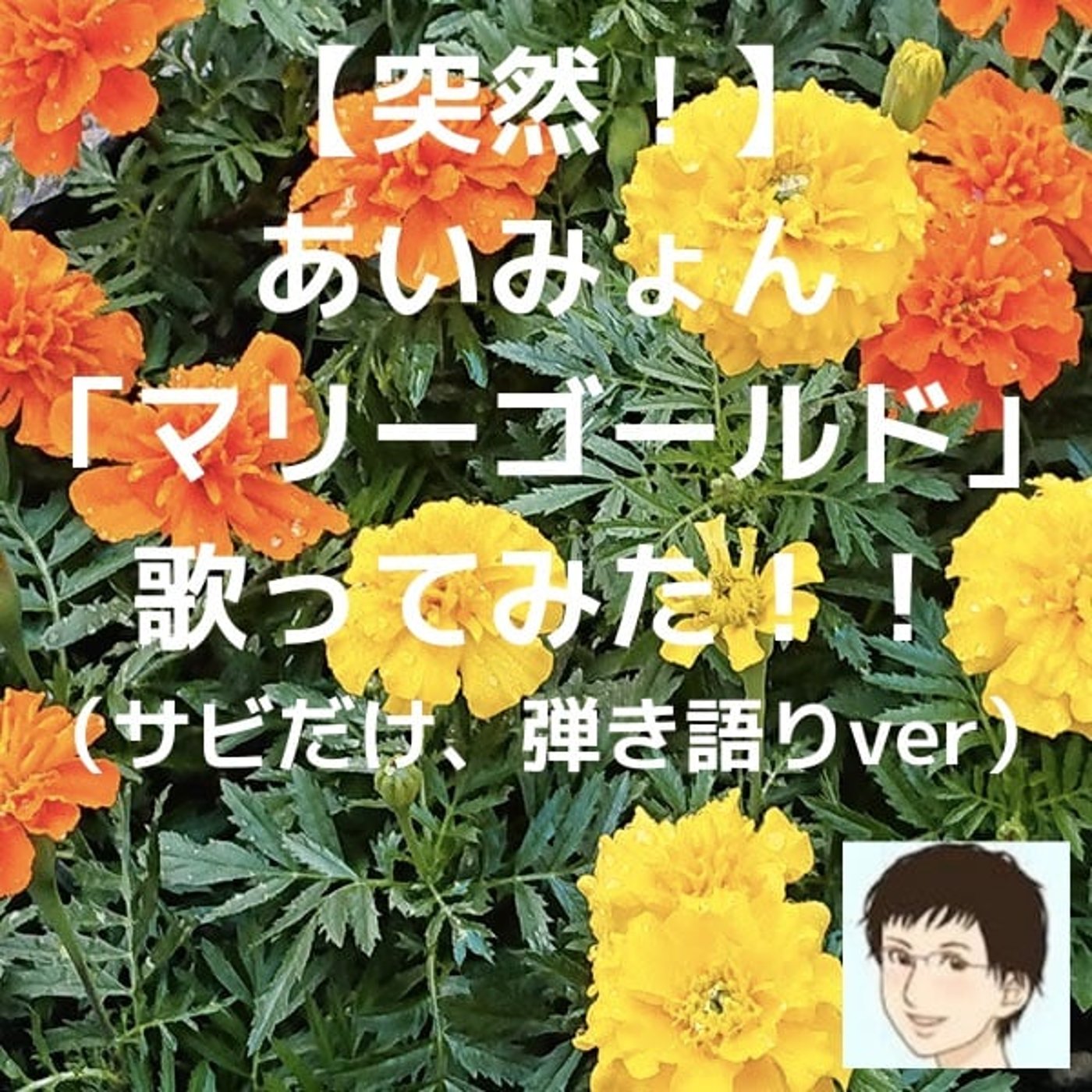 【突然！】あいみょん「マリーゴールド」歌ってみた！！　サビだけ弾き語りver episode artwork