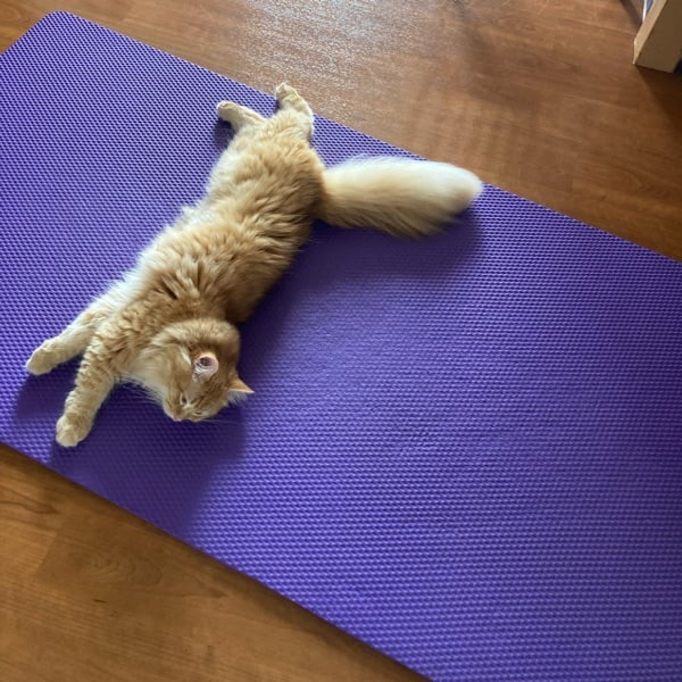 お片づけのはじめ方！