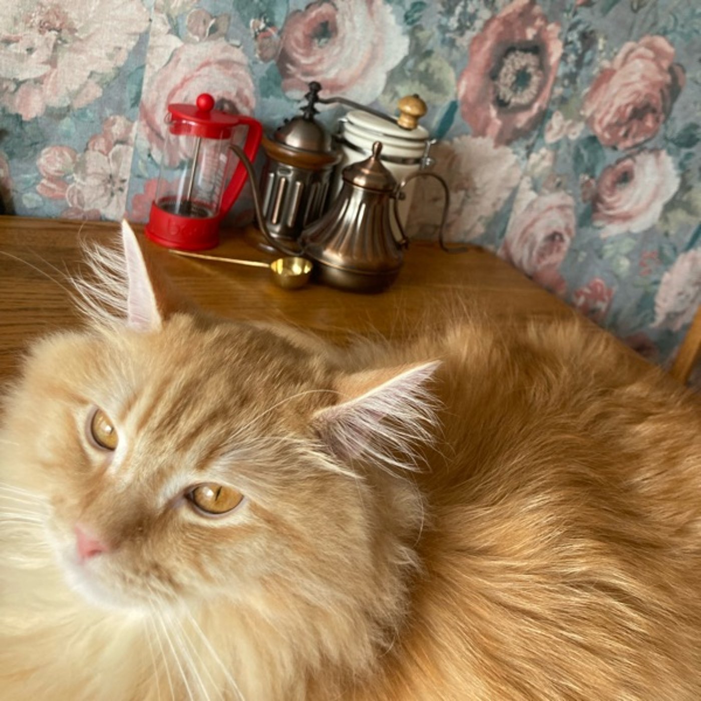 お片づけは考えるな！　感じろ！