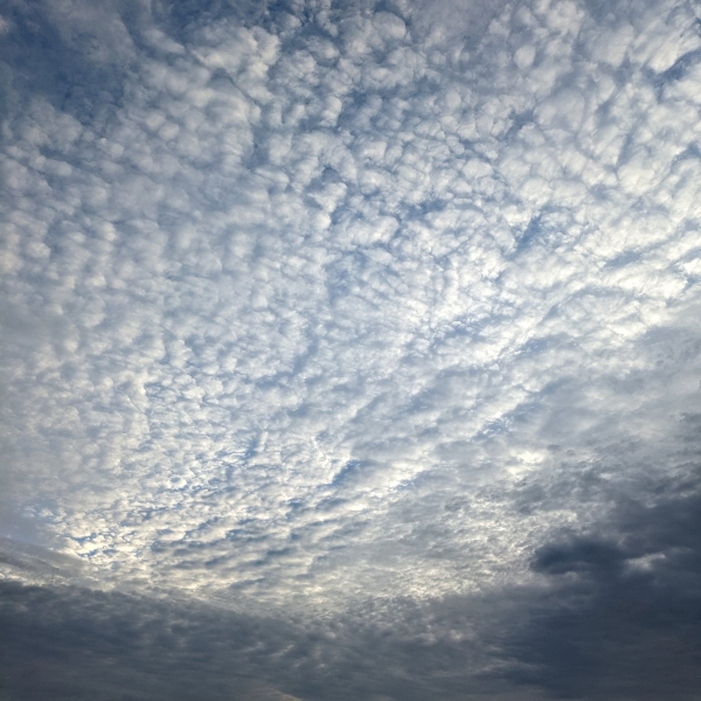 女性性の幸せな使い方