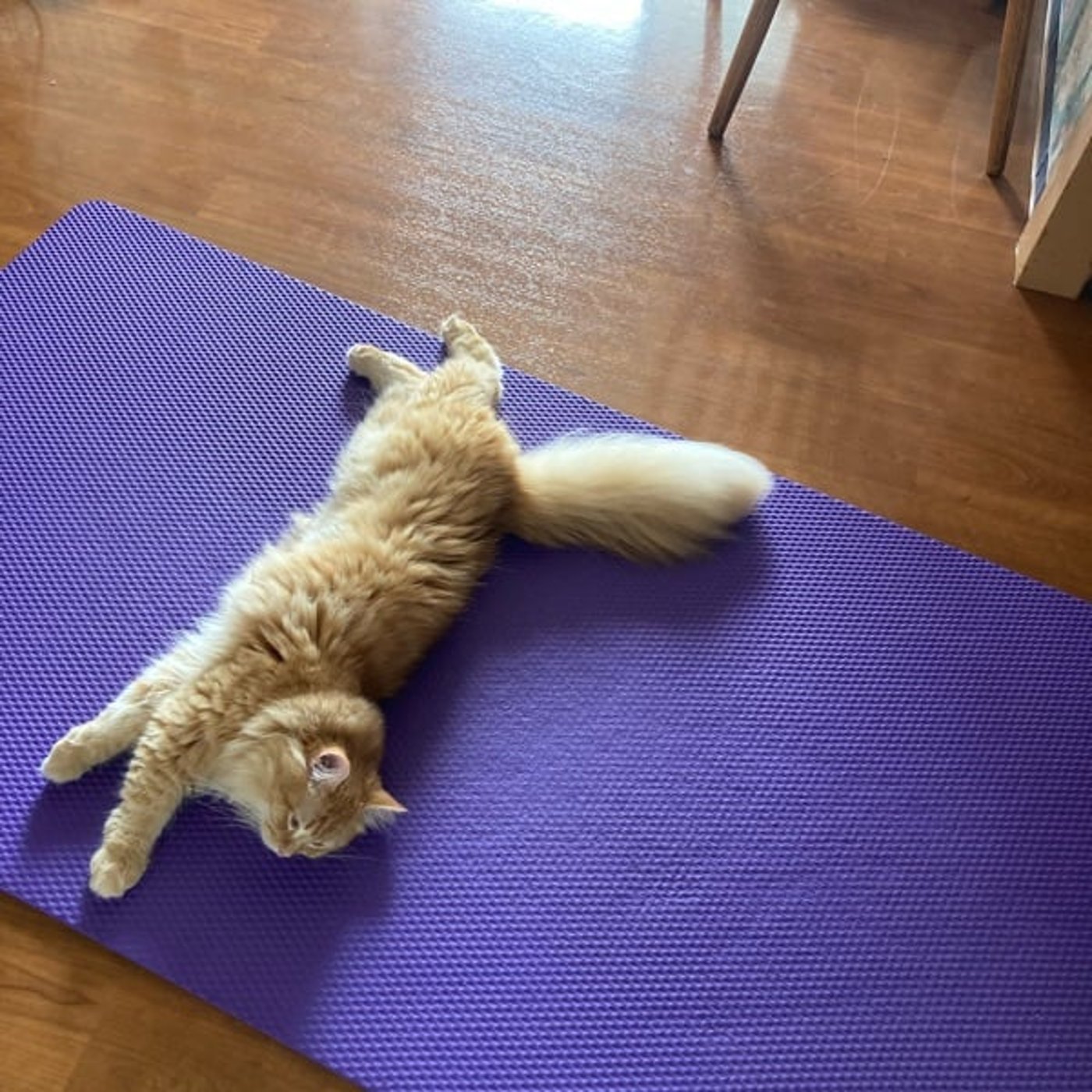 カバンの片づけ法