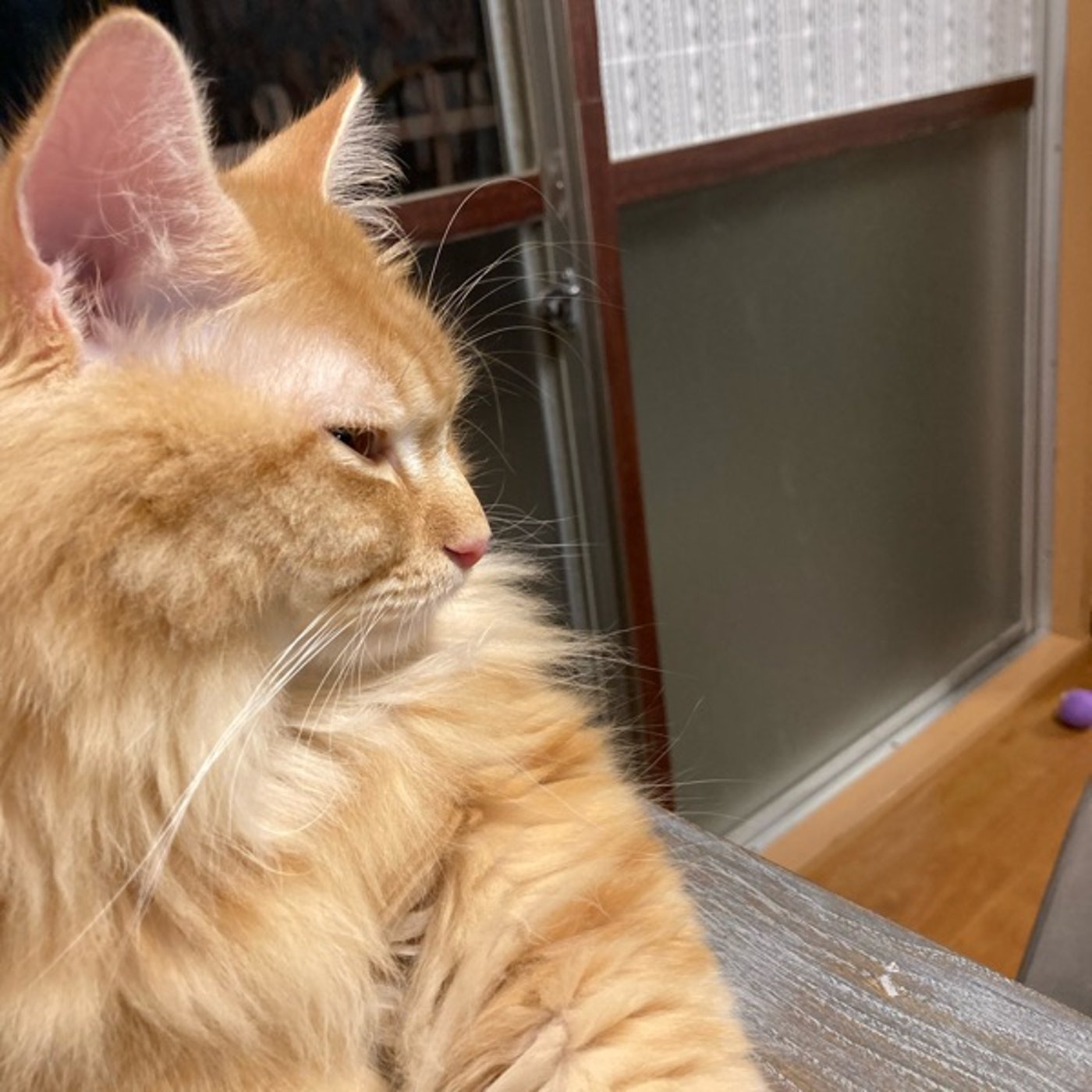 増え過ぎる情報を整えよう！