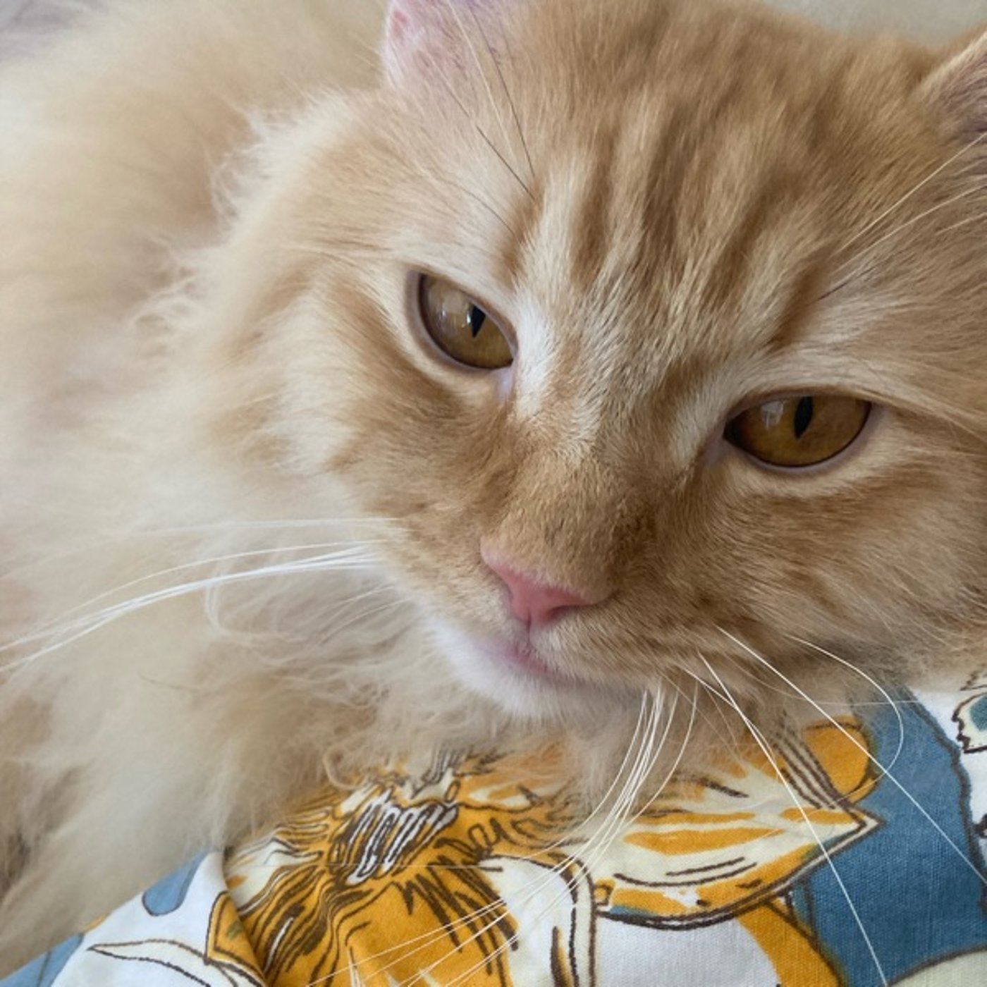 お片づけで人間関係が整う理由！