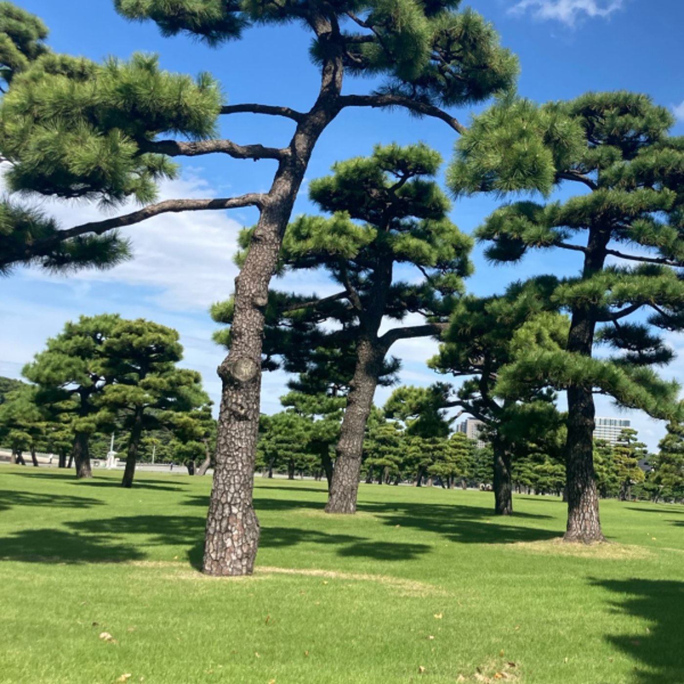 いっしょに洗濯物畳もう！