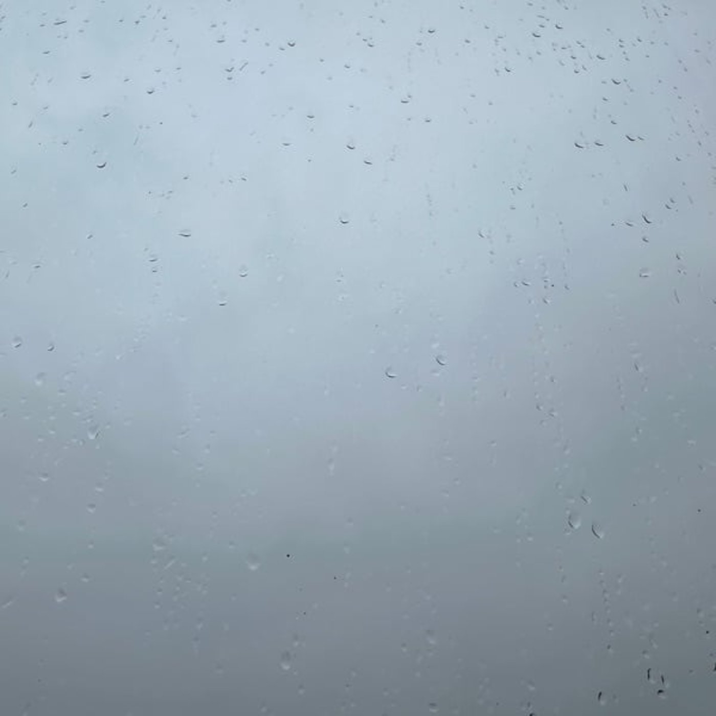 2022.10.7 雨だわ