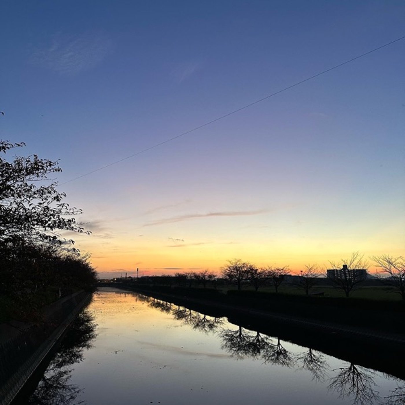 ボディサプリ💊カラダは役者