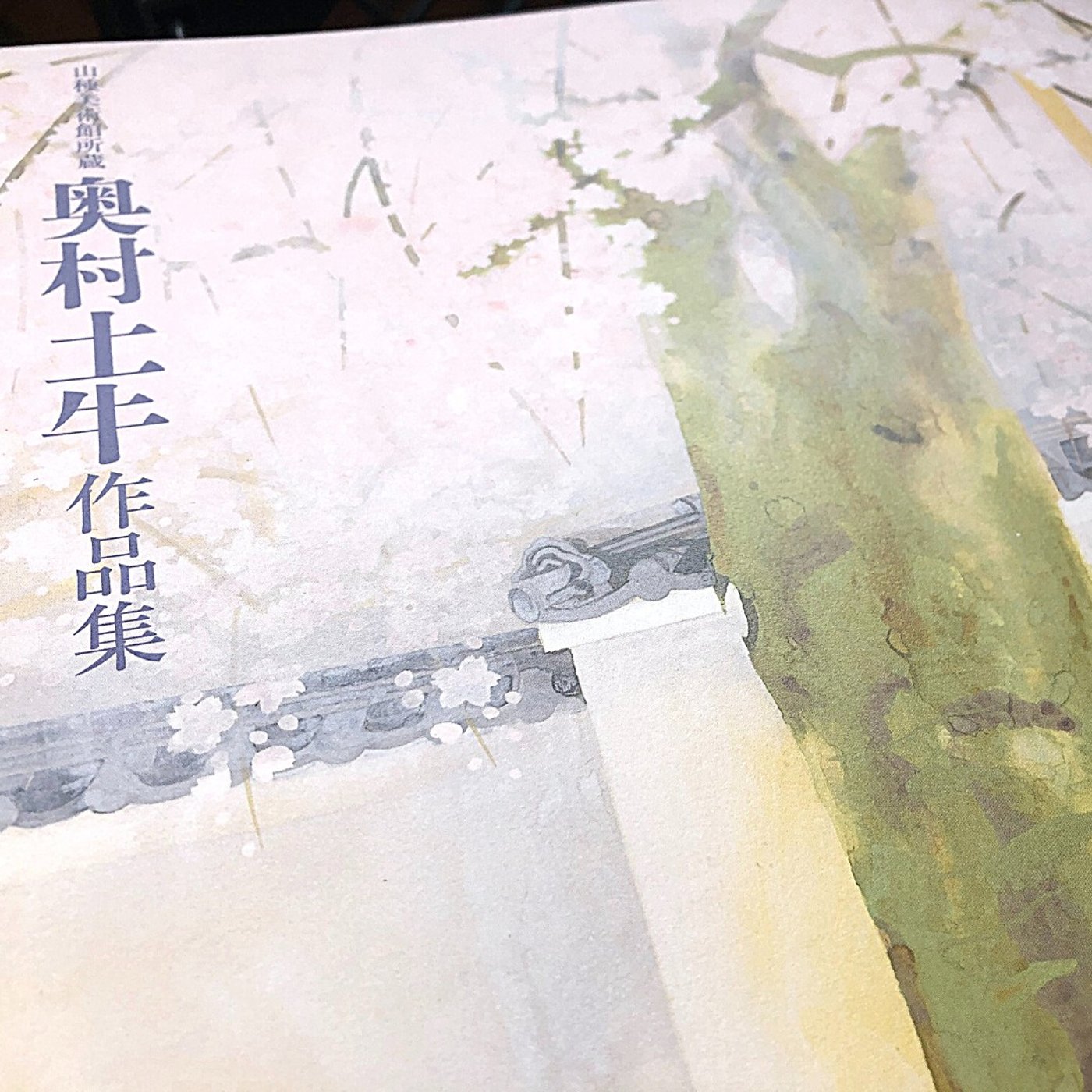 奥村土牛展レビュー／なめらかな透明感「聖牛」 episode artwork