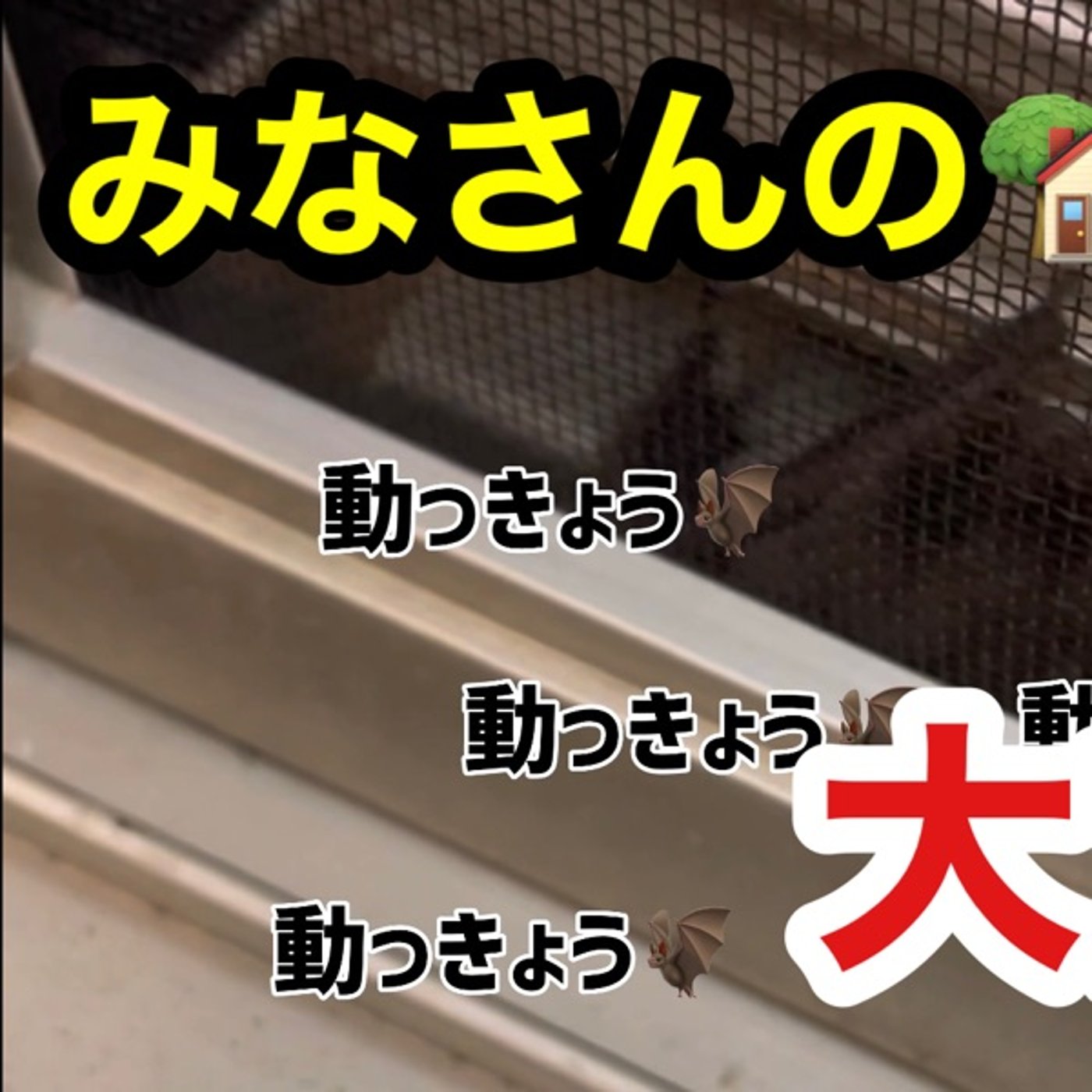YouTubeご確認を episode artwork