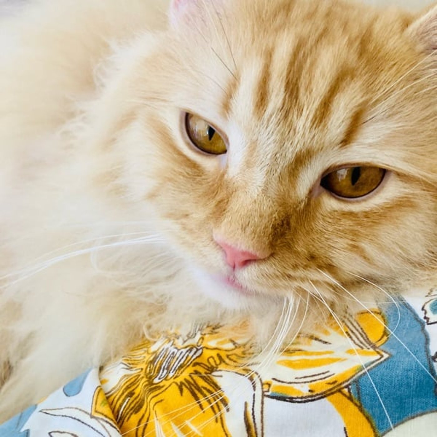 メンバー限定プレゼント企画！？