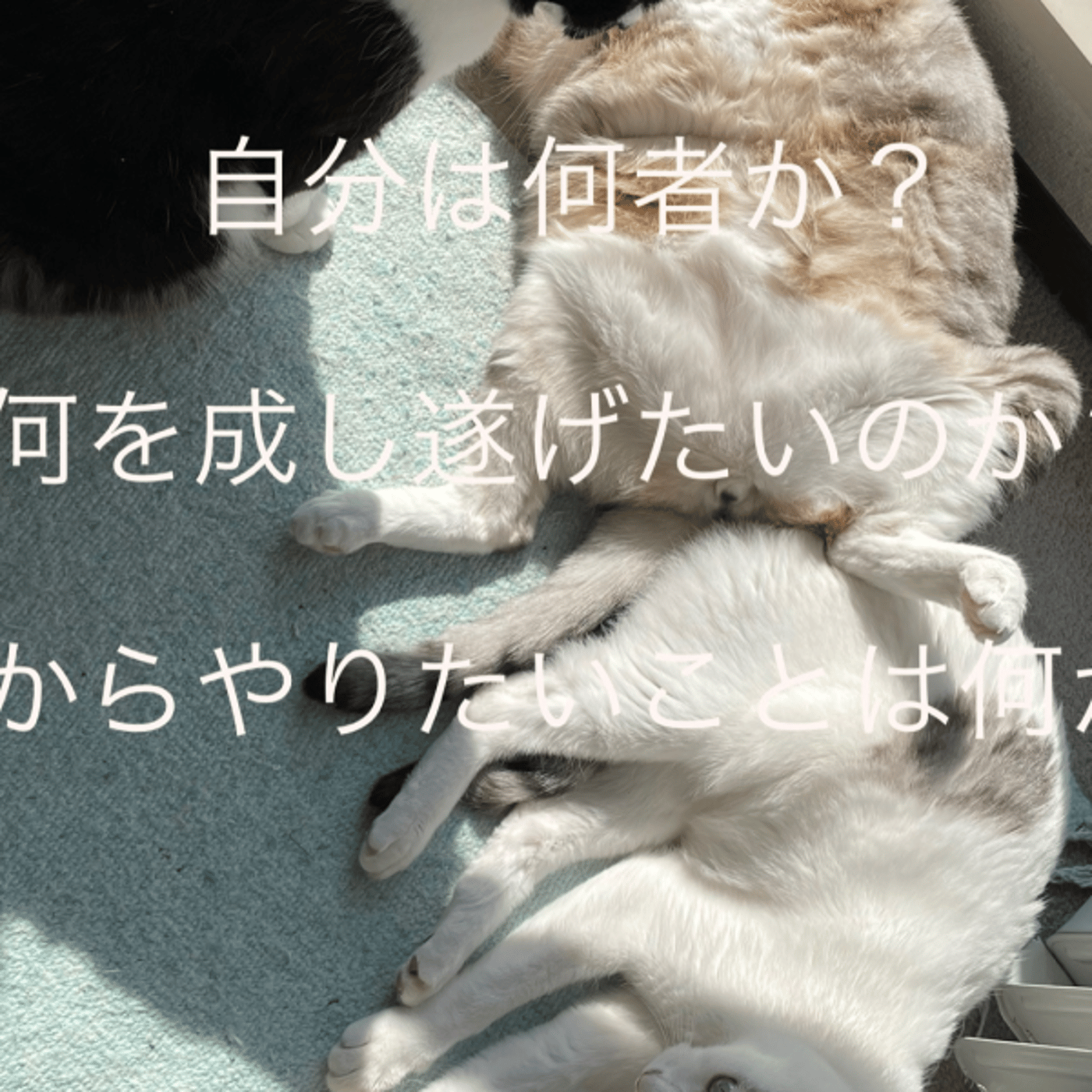 信頼関係・伝える、自分は何者なのか？自分を知る⭐︎直感を磨くためのヒント✨10分 episode artwork