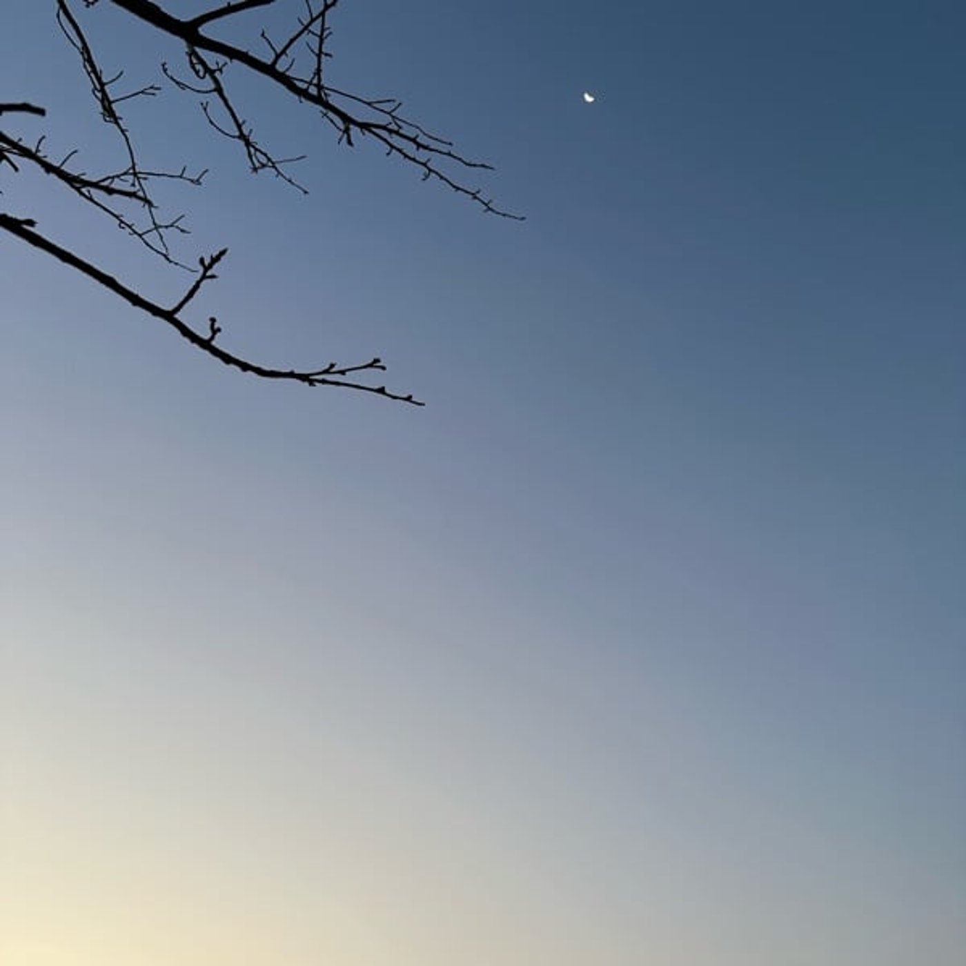 エネルギースイッチはどこにある？