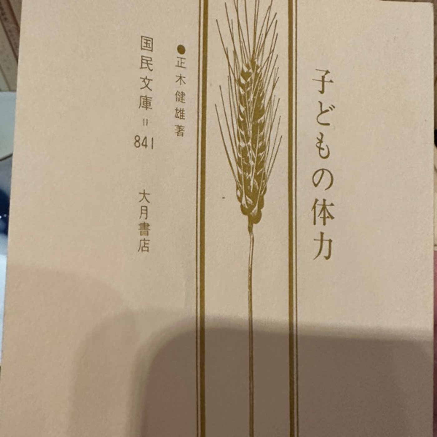 田舎でジムがない人の体力向上について