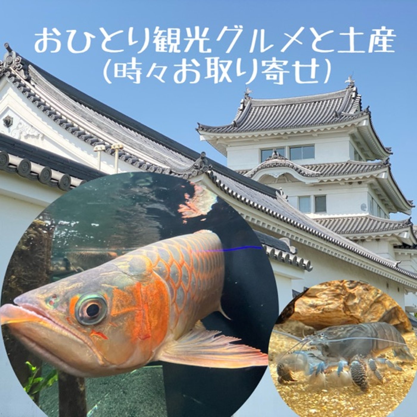 駅前立地の淡水魚水族館🐠驚愕の変わりもの大集合🐸【川崎】  episode artwork