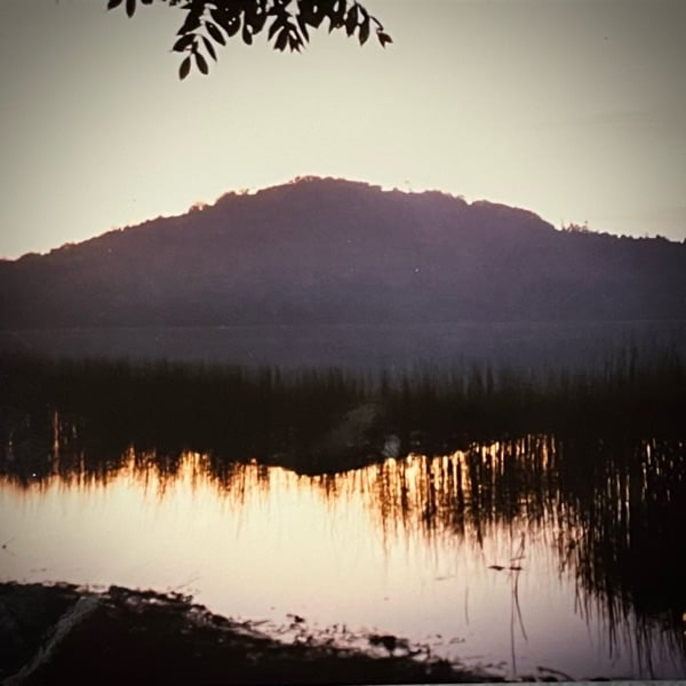 ぜいたくなミニマリスト〜スナフキンになりたくて