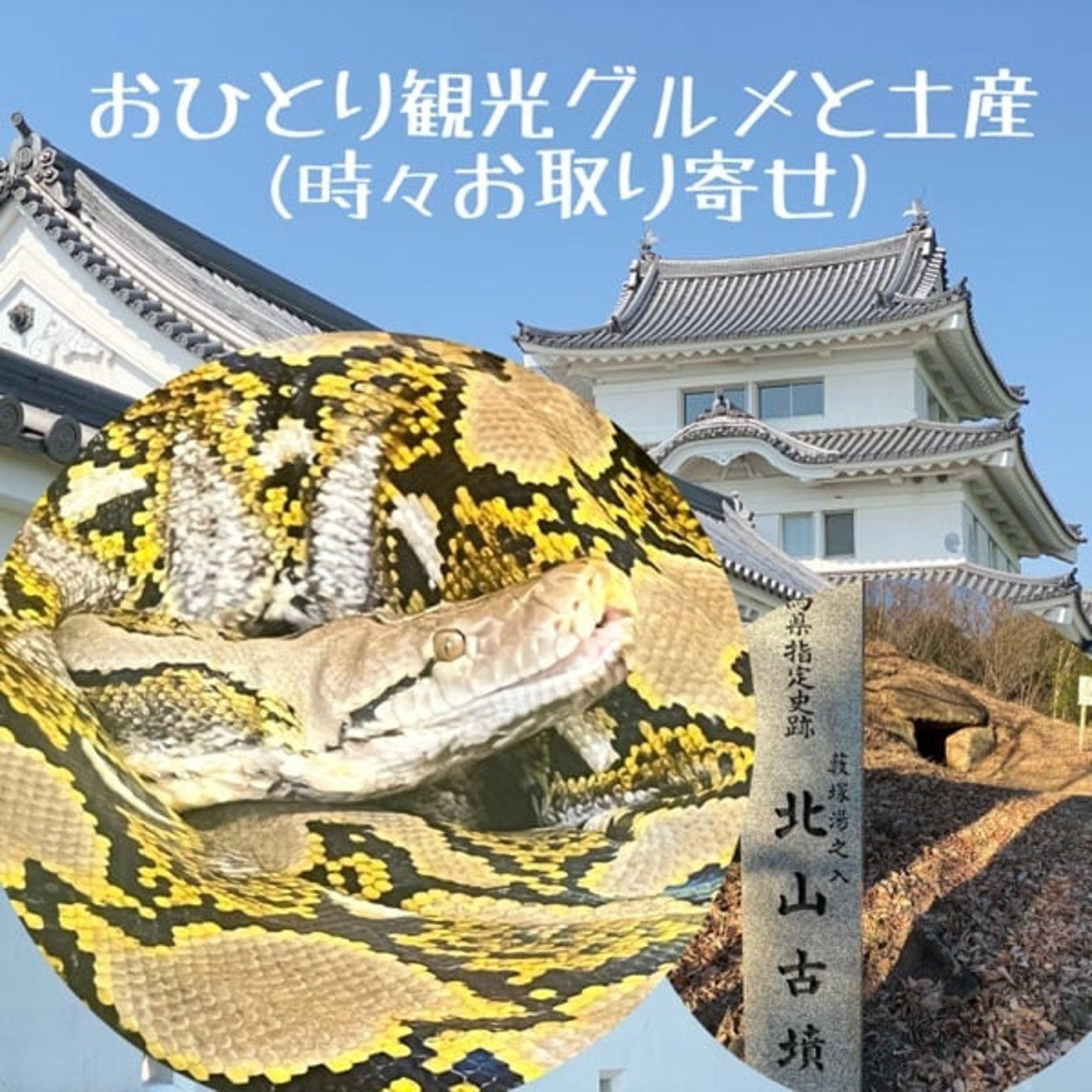 【観光】蛇とふれあい体験・横穴式石室が残る古墳（群馬県藪塚温泉）  episode artwork