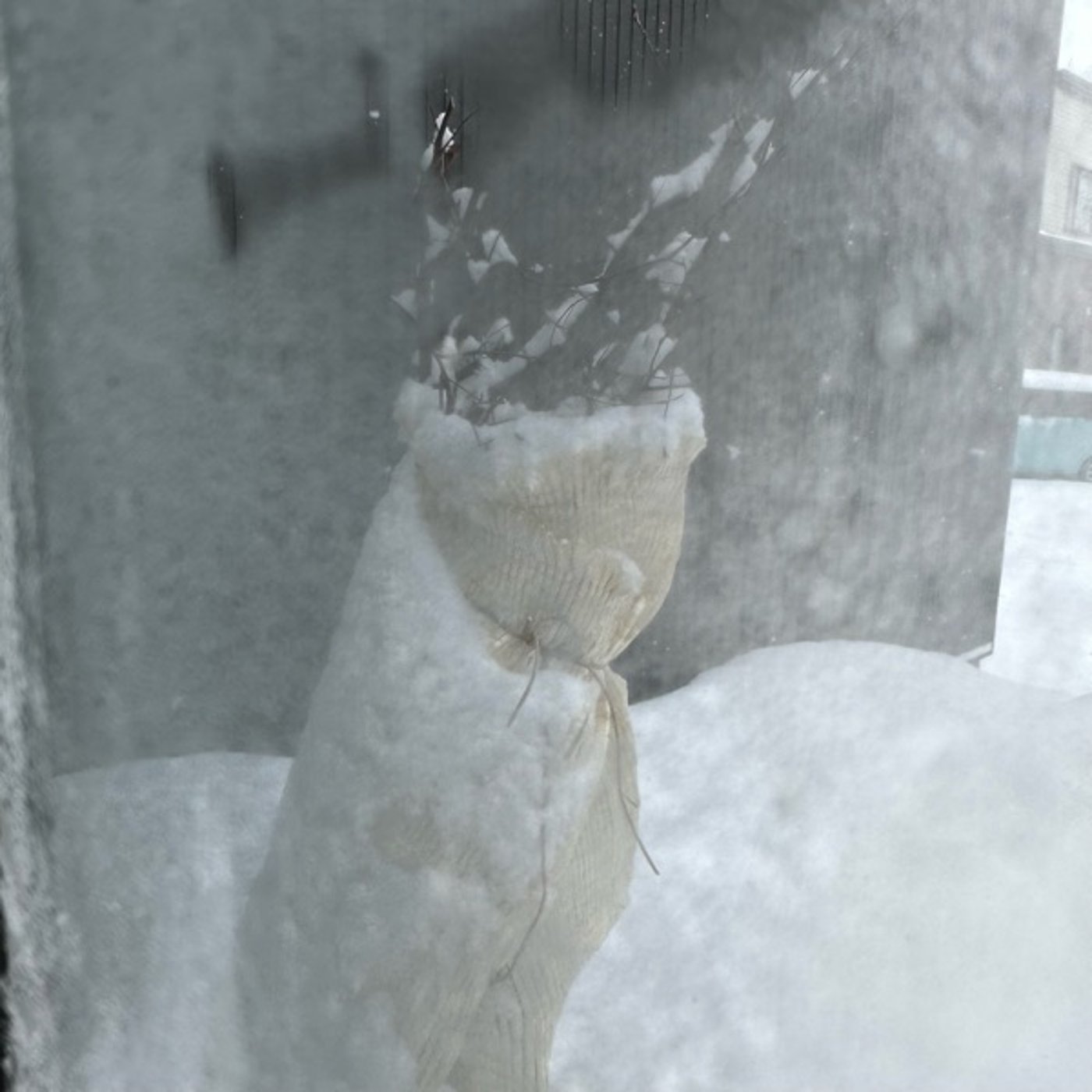 2023.2.2 雪！