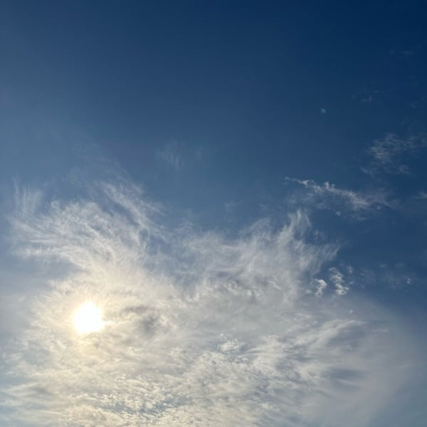 それは思考の夢？魂の夢？