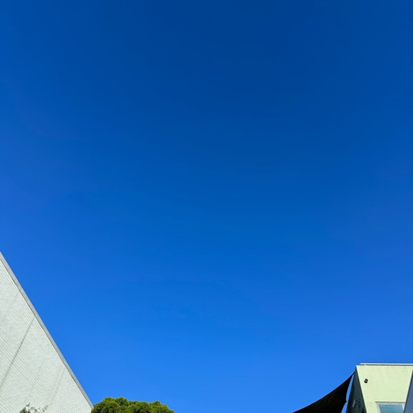 #598【雑談】青空が青い #598【雑談】青空が青い